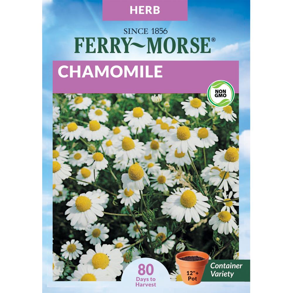 Ferry-Morse Forget-me-not Seeds (L0000) 250-mg at