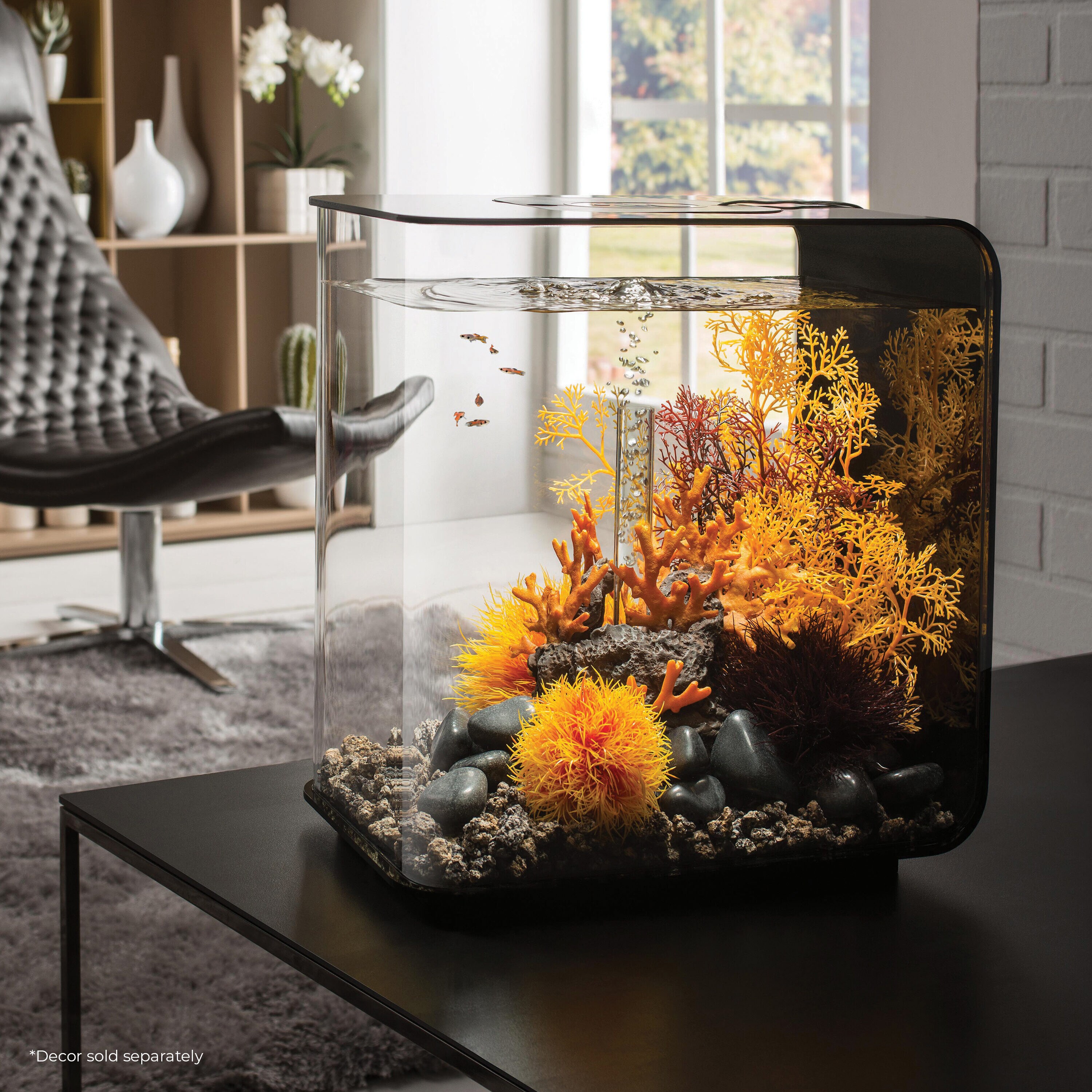 biOrb 72033 Terrariums-Habitats - View #2