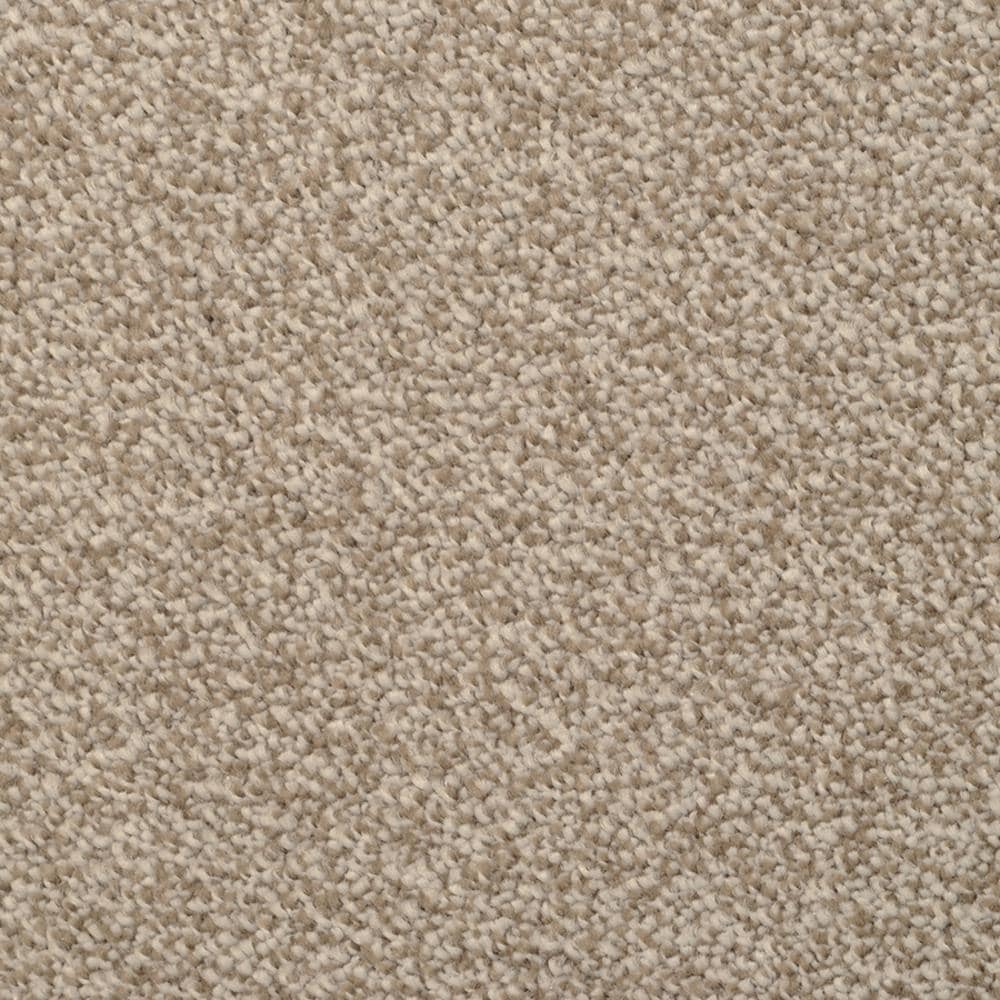 Stainmaster Signature Briar Patch Granada Textured Indoor Carpet At 