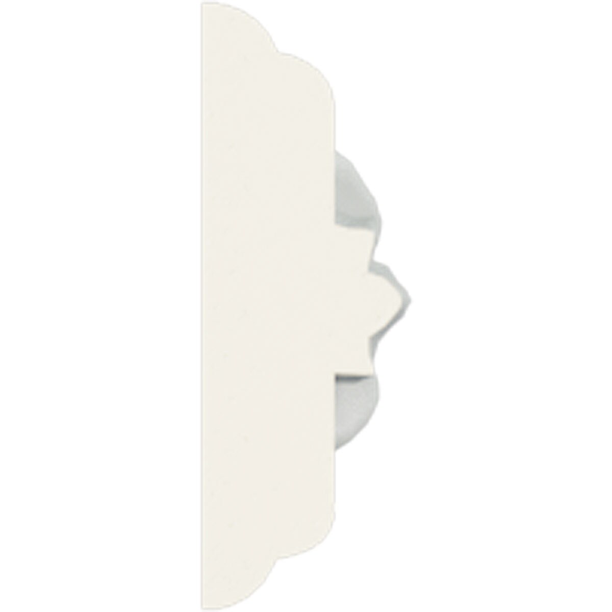 Ekena Millwork CHA01X00FL-CASE-2 Chair-Rail-Moulding - View #3