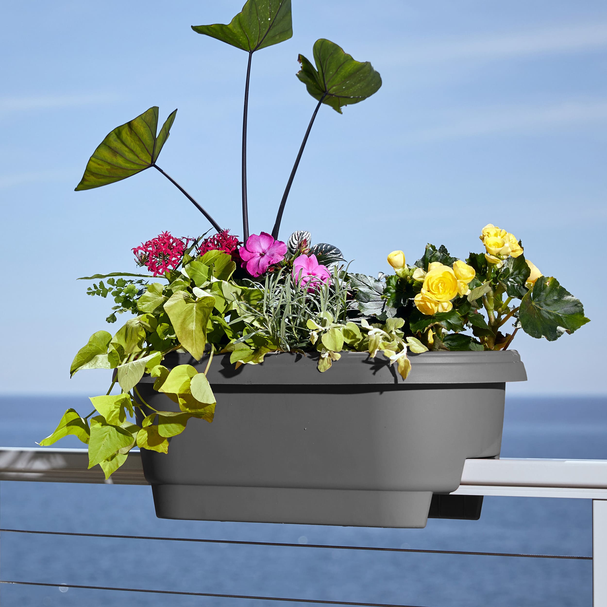 Bloem DR24908-OS Planter-Window-Box - View #3