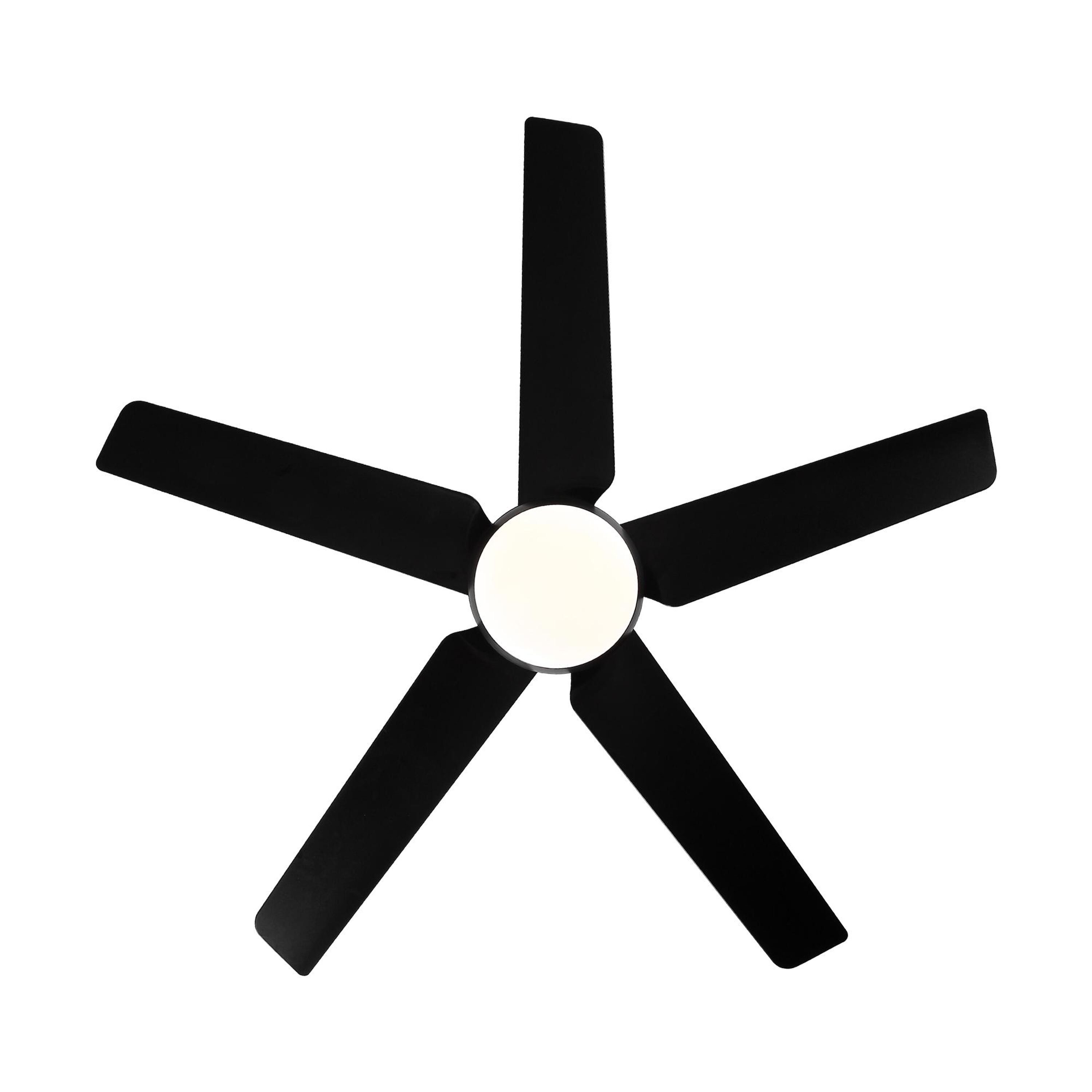 Bayfeve BFYH-5927 Ceiling-Fans - View #5