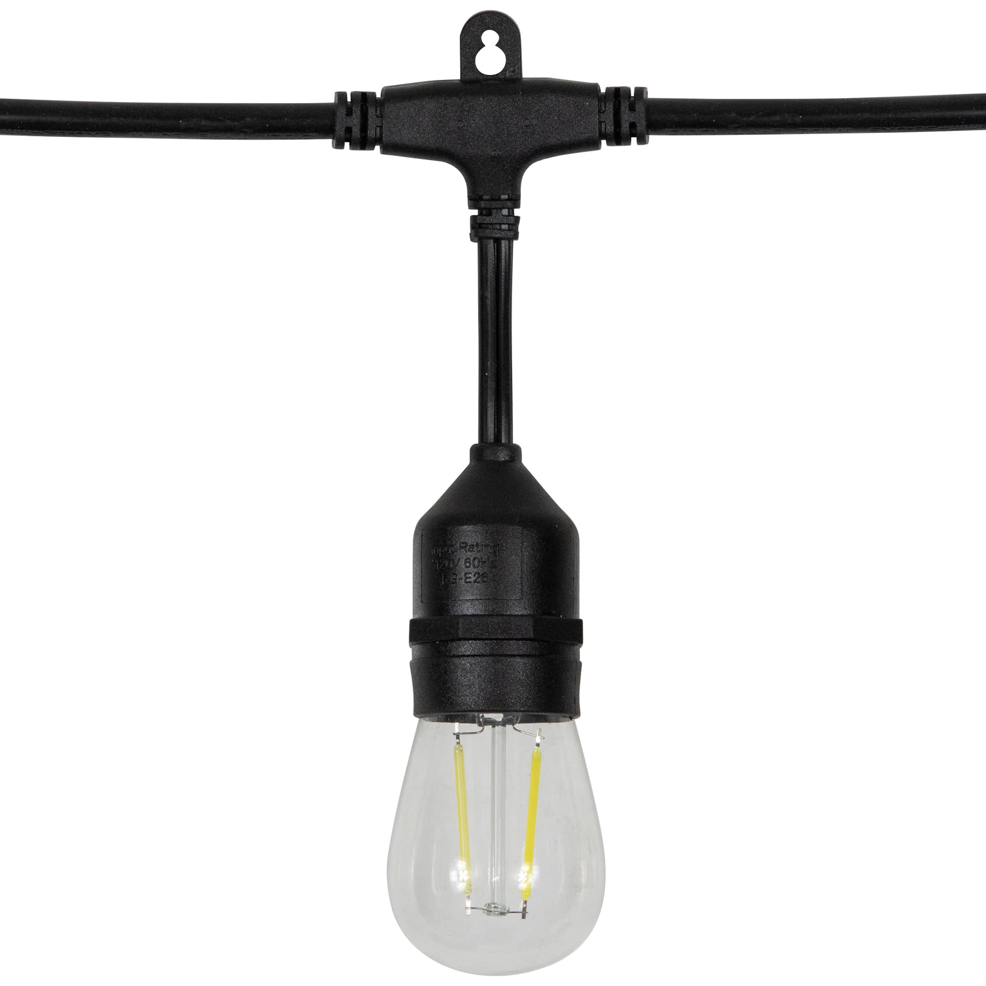 Northlight Edison Bulb Patio Light Set