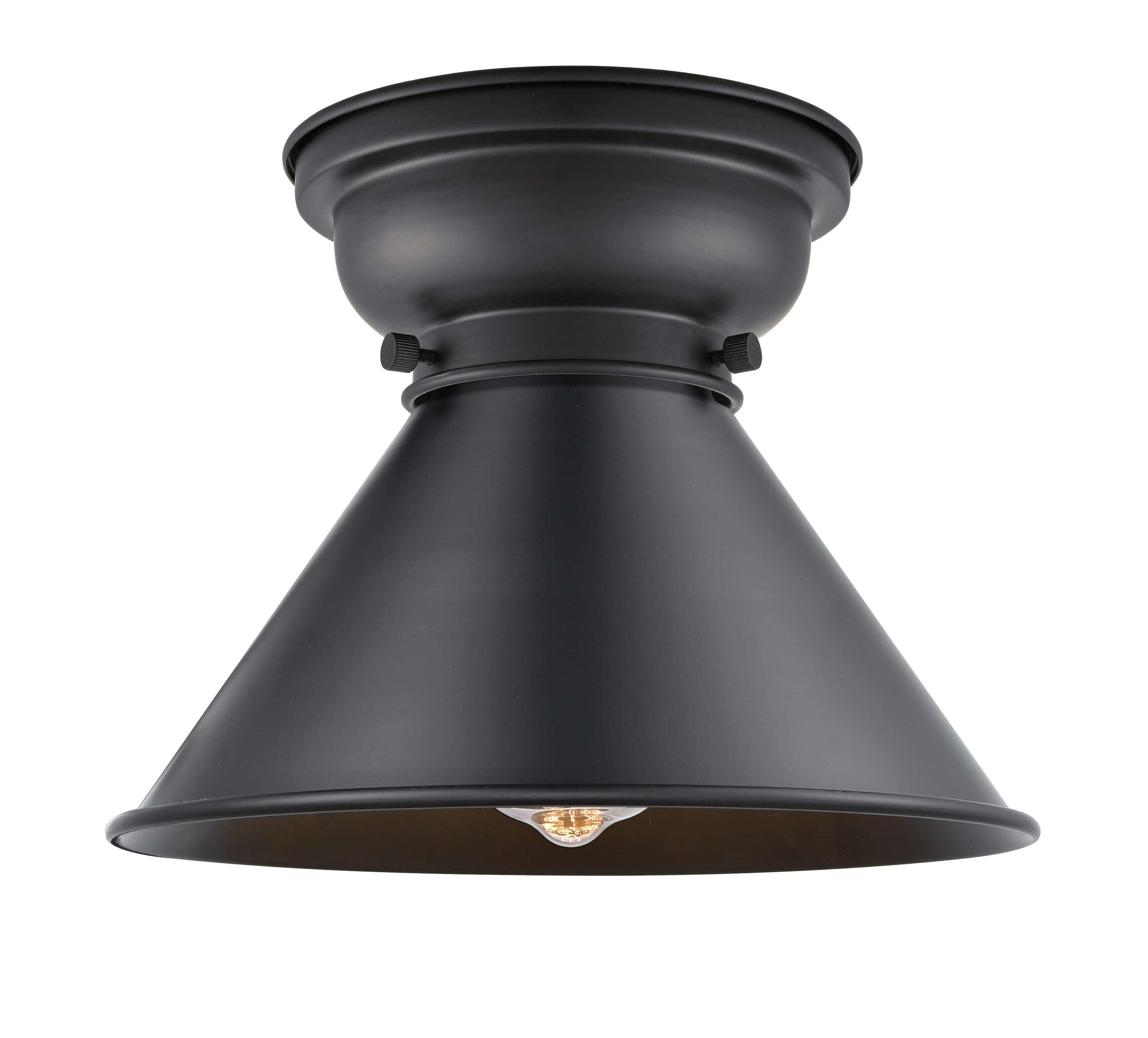 Innovations Lighting 623-1F-BK-M10-BK Briarcliff 1 -Light 10-in Matte Black Flush Mount Light