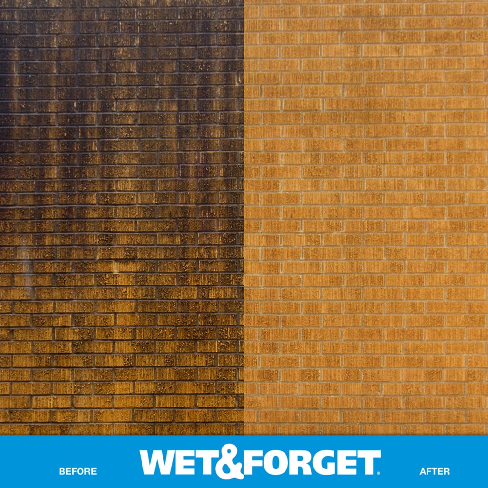 Wet & Forget — Studio One Eleven