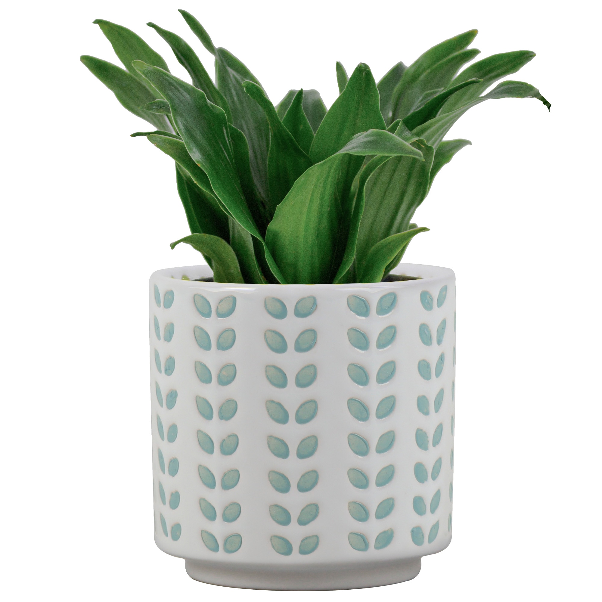 allen + roth LUCR02111N-04M Planter-Window-Box - View #2