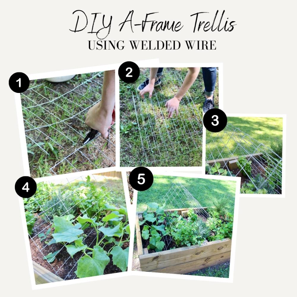 DIY Front Yard Fence Project: Using 4x4's and Stretch Woven Wire — Healing  Moon Farm & Soapery
