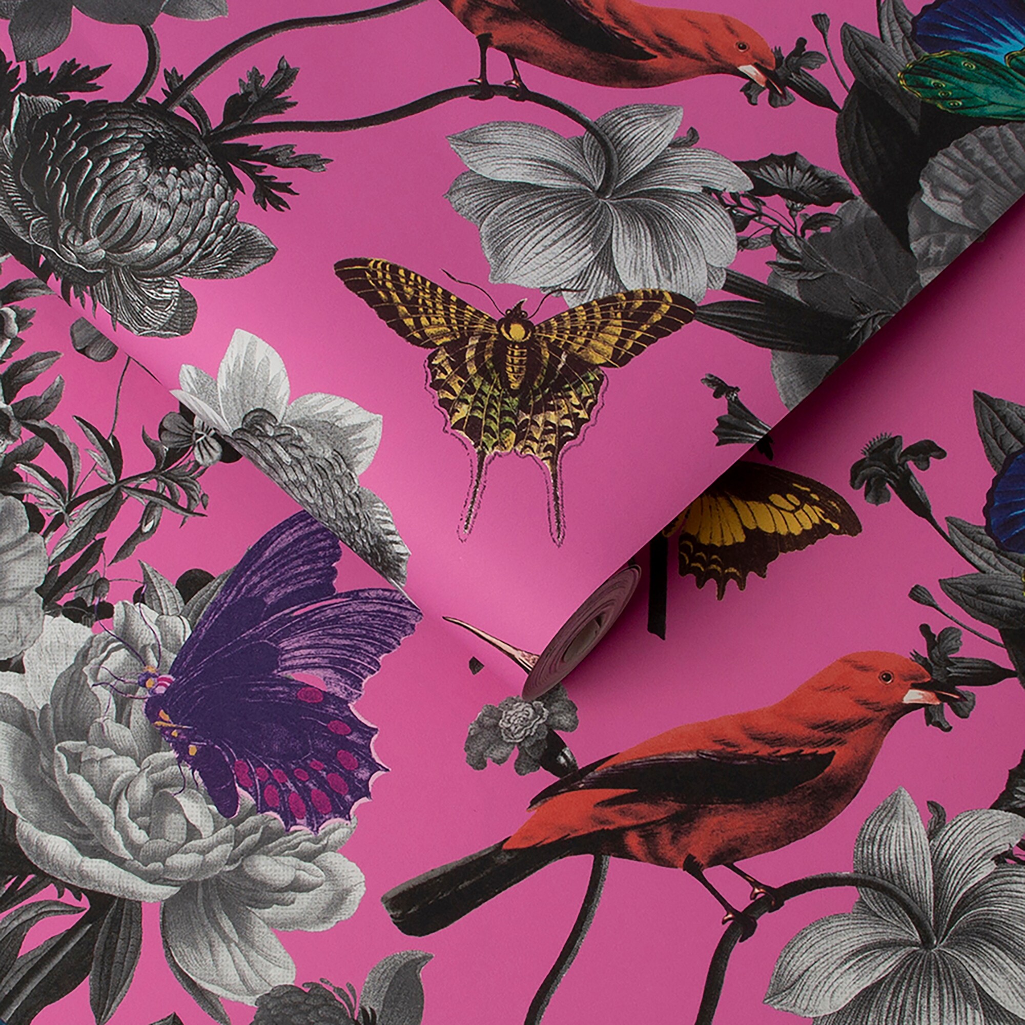 Graham & Brown 10642994 Wallpaper-Samples - View #3
