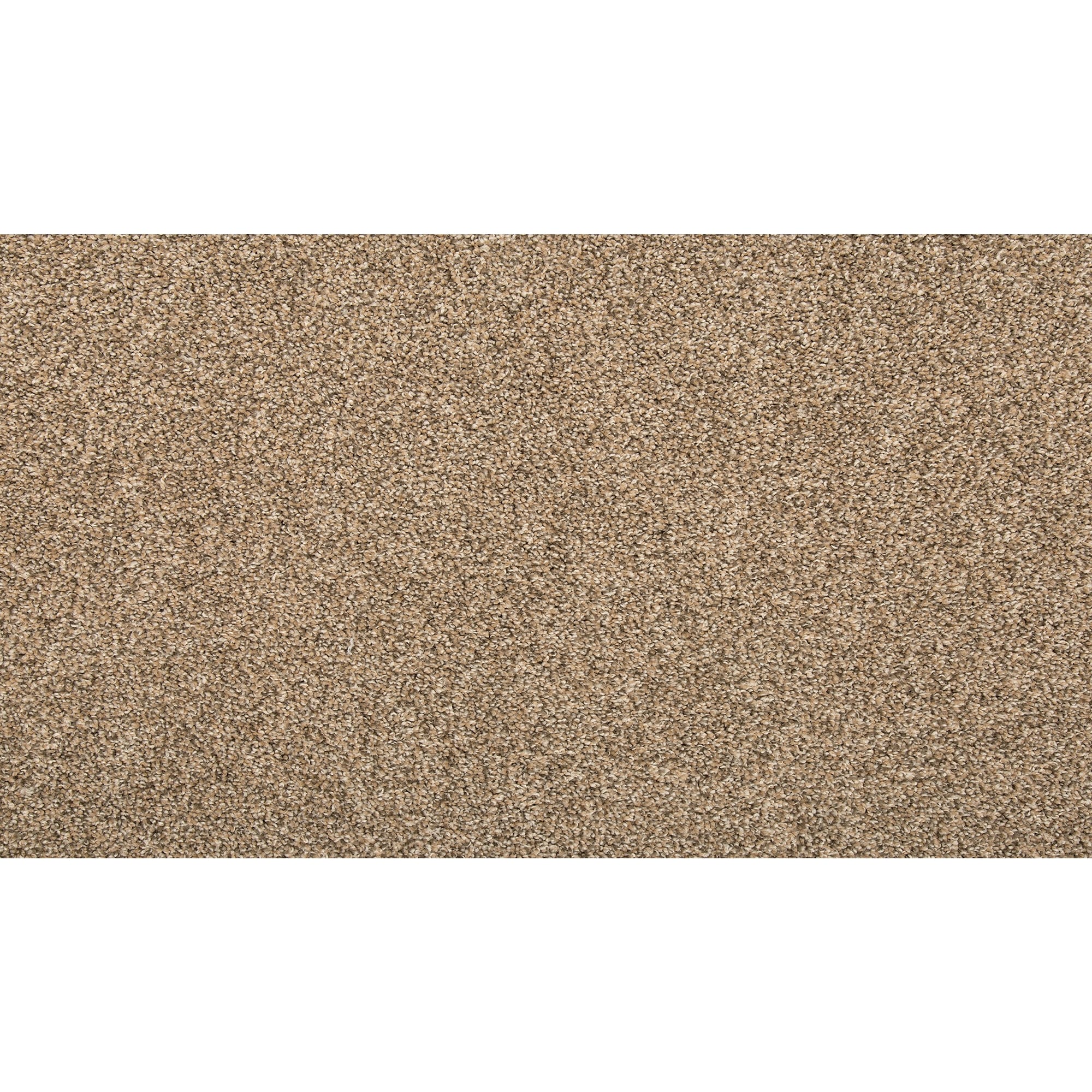 Mohawk SS026-L001-0808 (Sample) Pro Renovations - Inspired Ace Pro Grain Brown 29-oz sq yard Solution-dyed polyester Textured Indoor Carpet