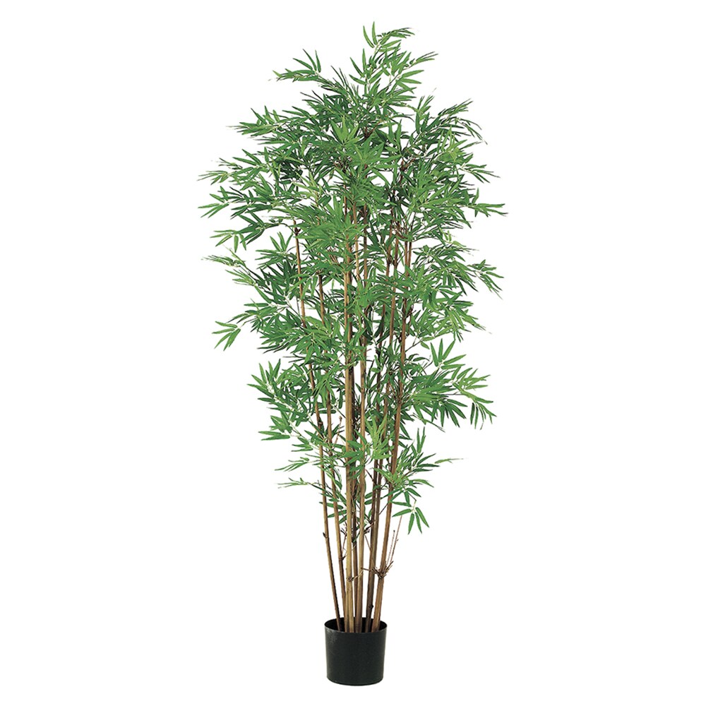 Allstate Floral LPB051-GR/TT 60-in Two Tone Green Indoor Floor Bamboo Artificial tree