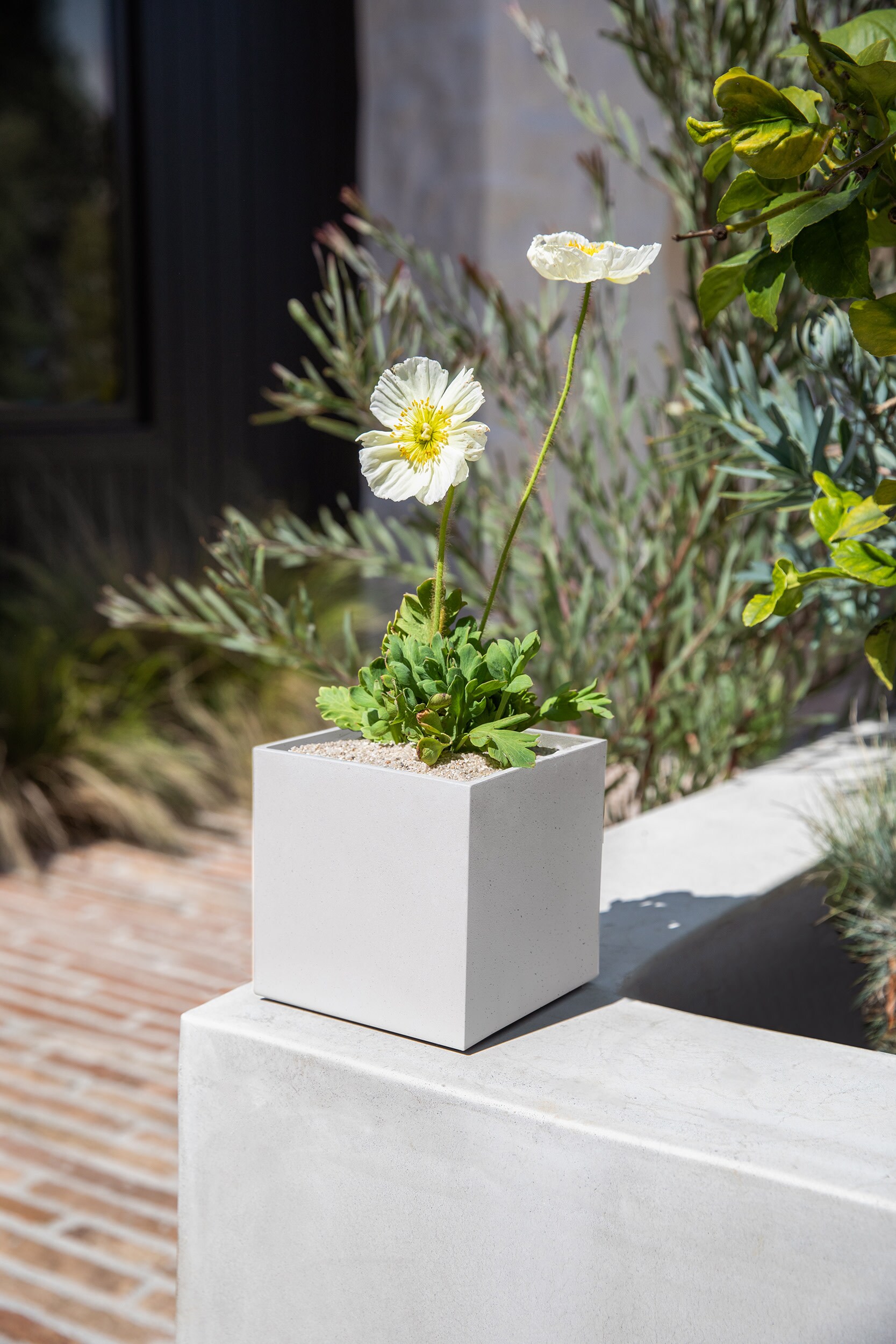 Compact 5'' Geo Cube Planter in Black and White, UV-Resistant