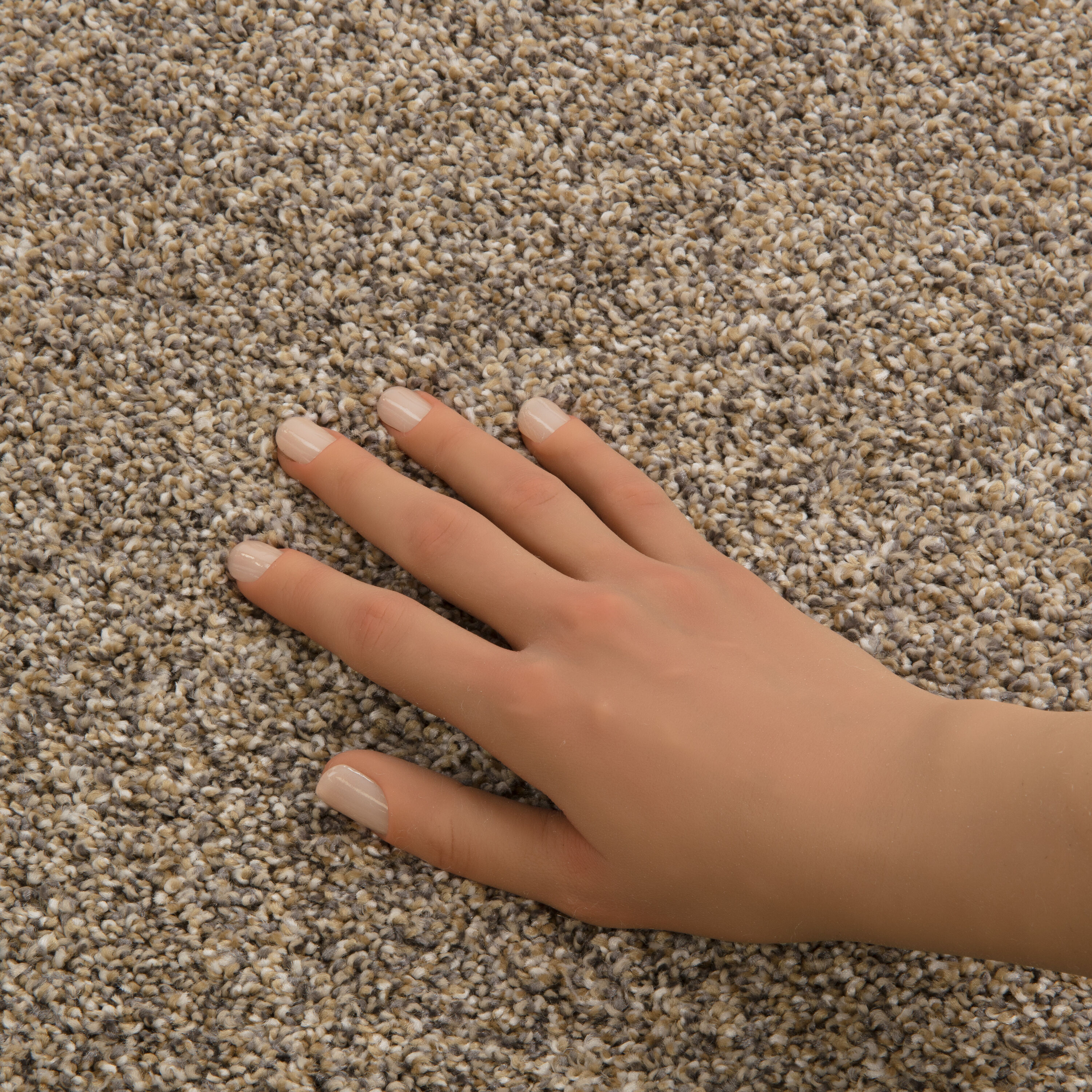 STAINMASTER PetProtect 7L99300220 Carpet-Panel - View #7