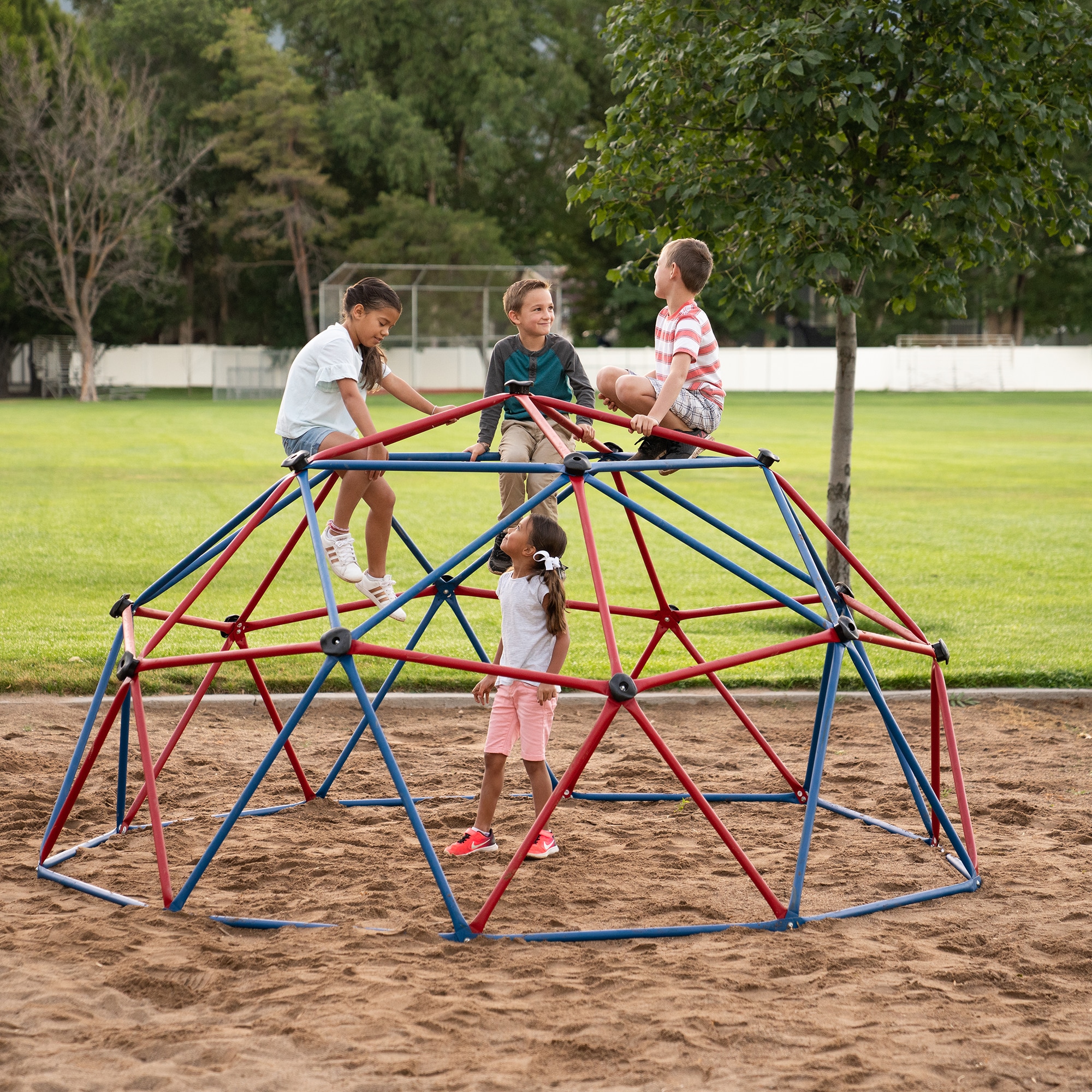 LIFETIME PRODUCTS 101301 climbers - View #4