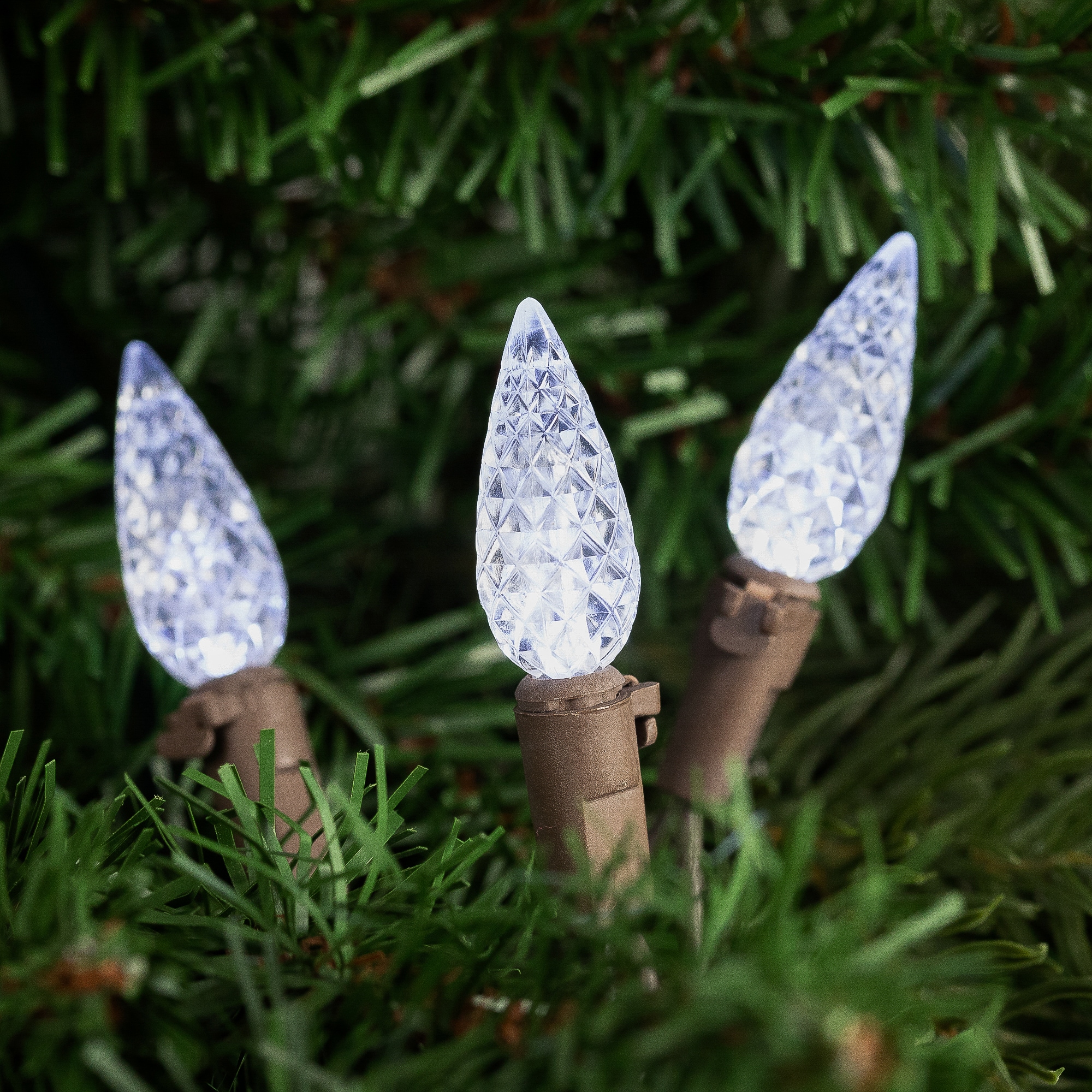 Northlight 32614100 Christmas-String-Lights - View #3