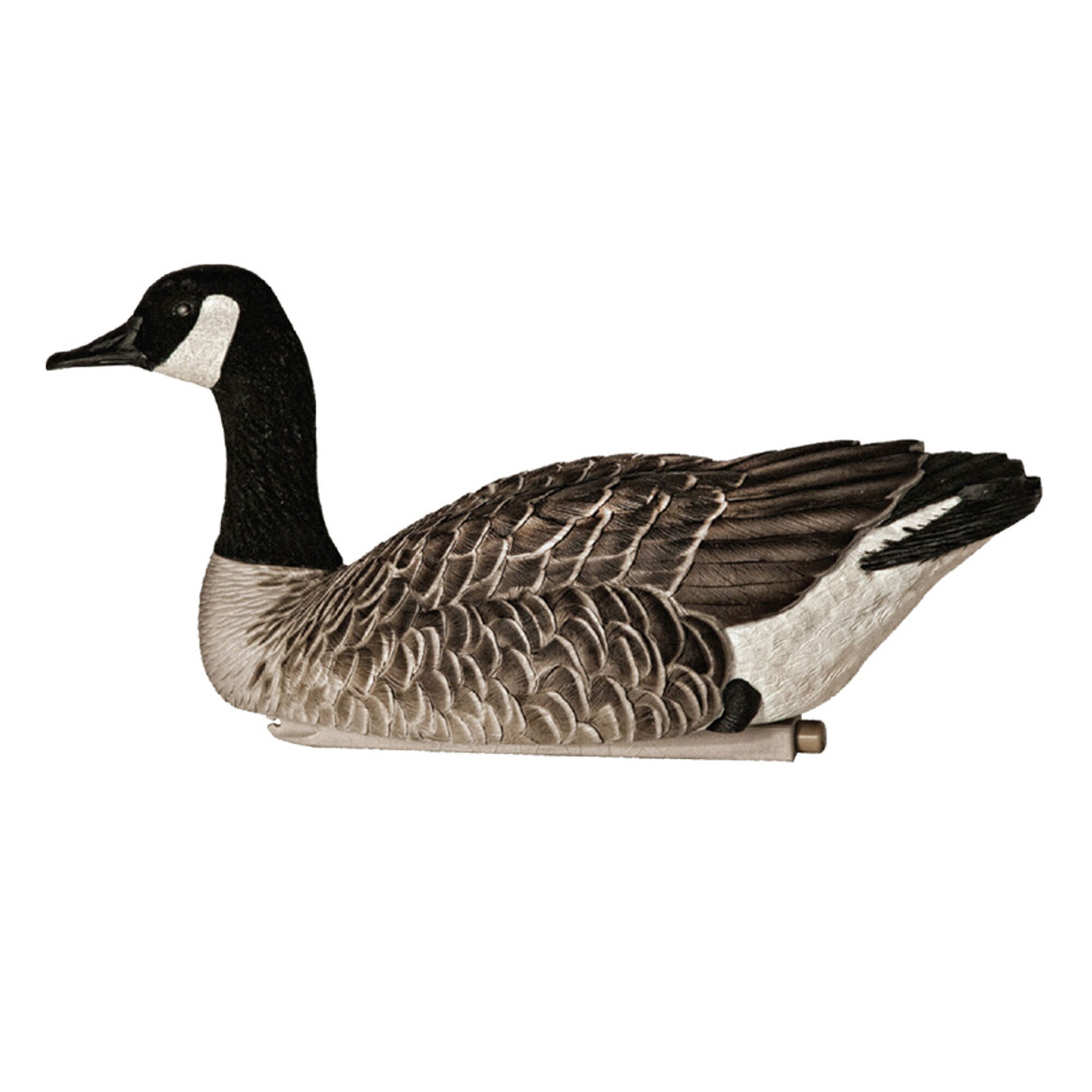  Avian X 408596 Hunting-Equipment - View #11