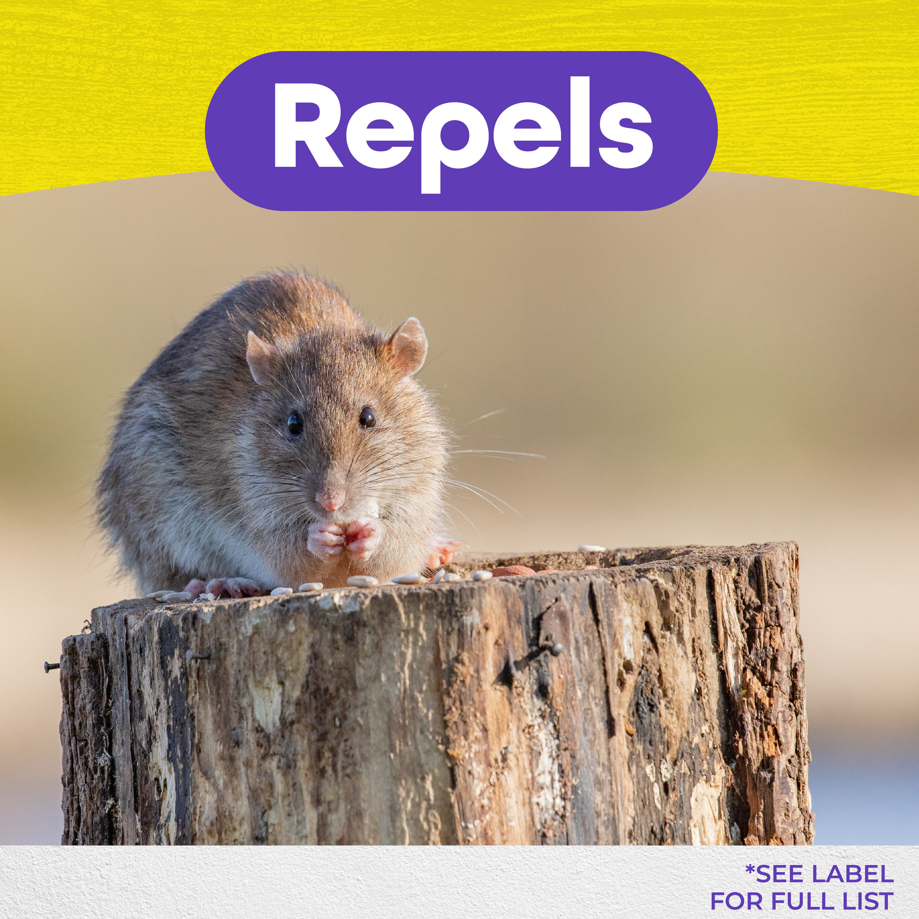 Bonide 866 Animal-Rodent-Control - View #4