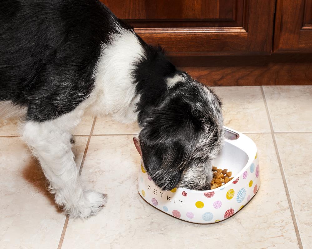 PETKIT SAB1RB Pet-Bowls - View #2