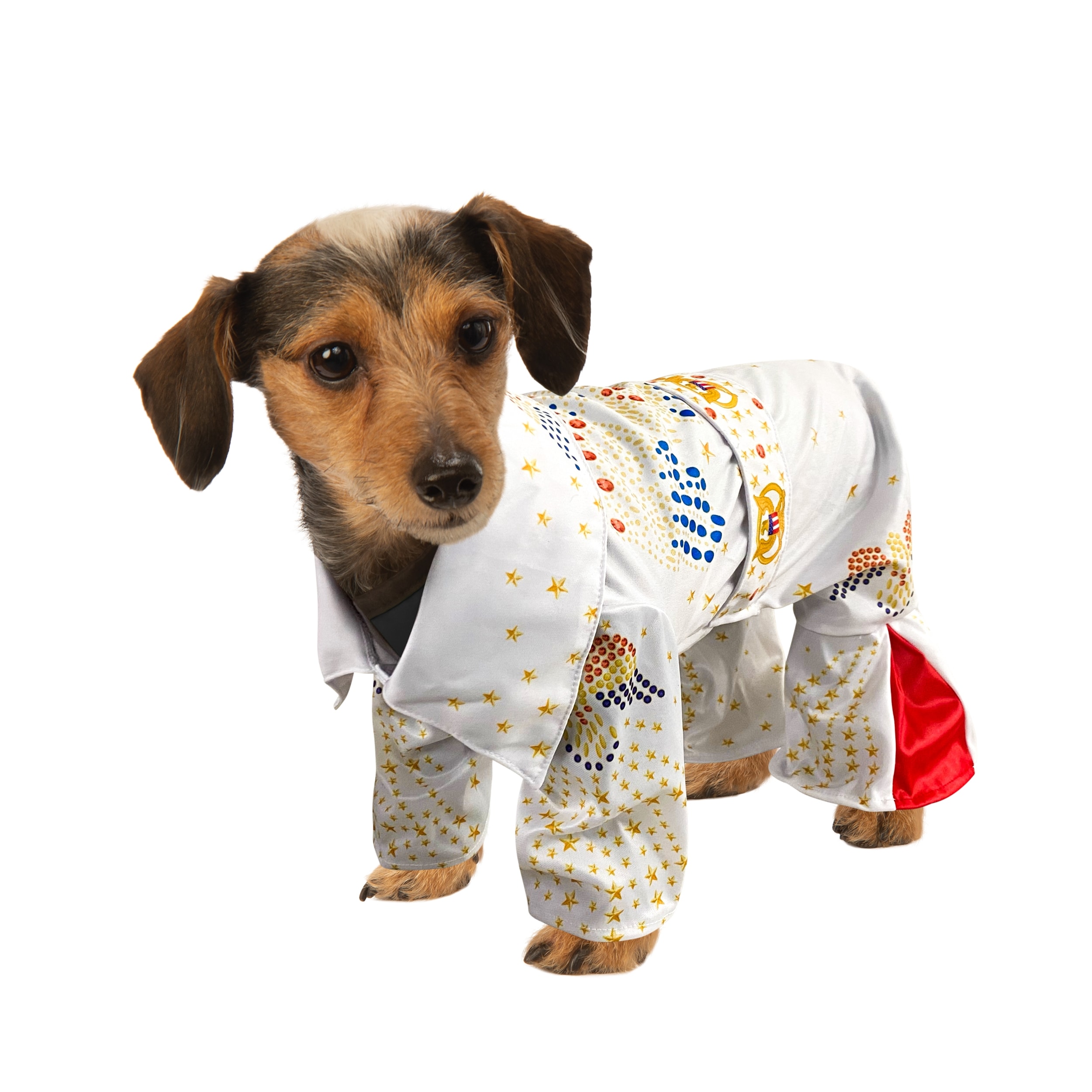 Rubie's Costumes 665313 Elvis Presley Pet Costume