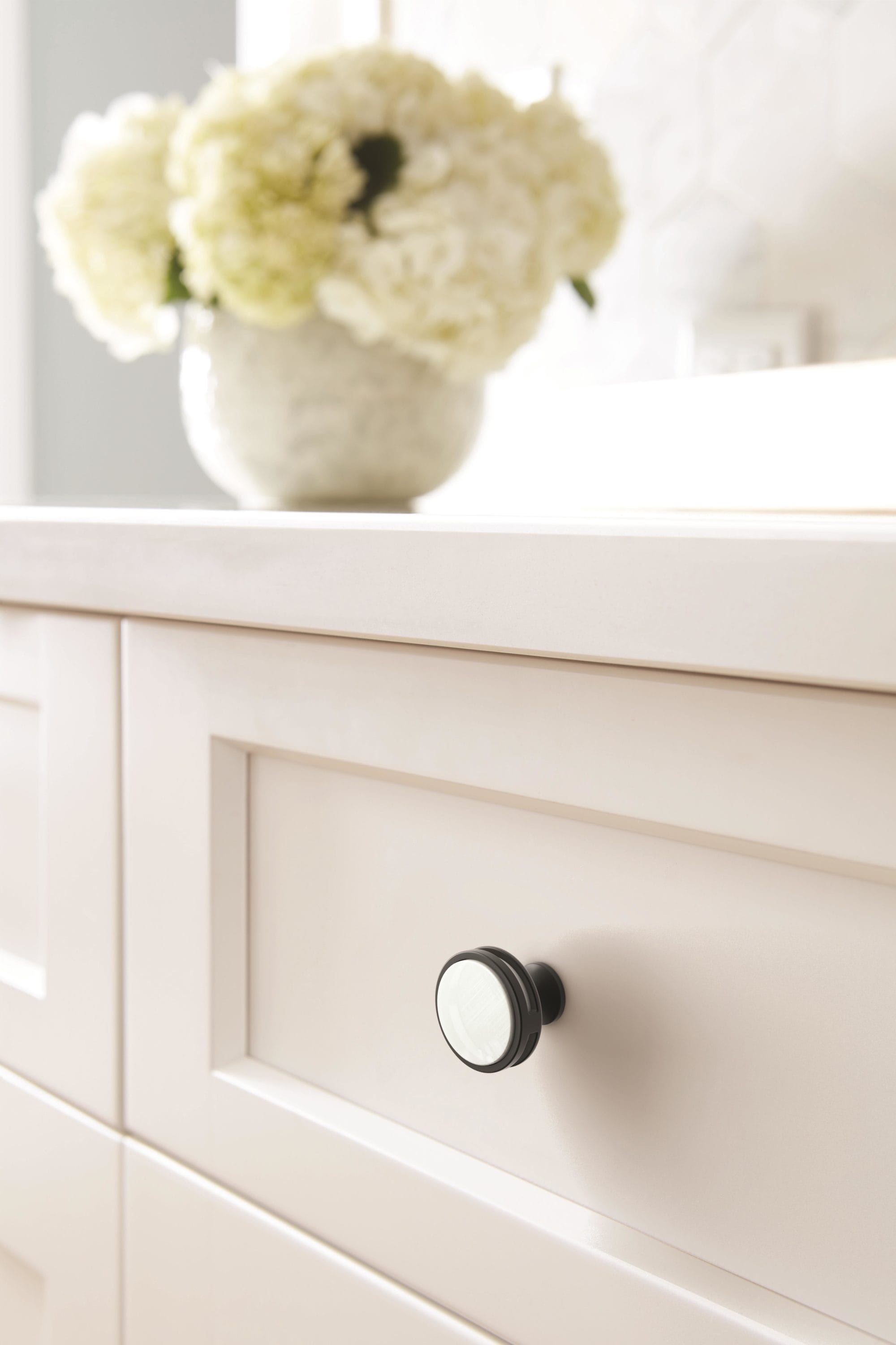 Oberon Matte Black and Frosted Acrylic Round Cabinet Knob