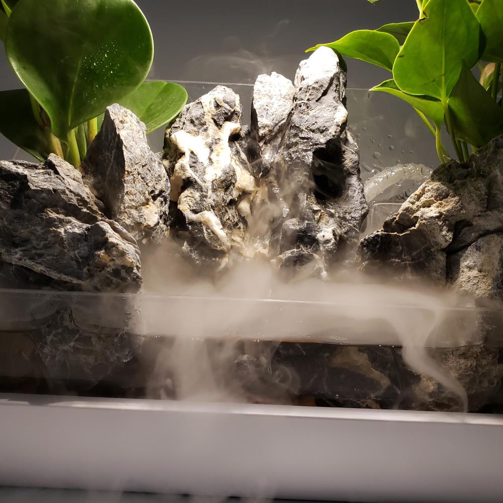 LIFEGARD LED Rock Garden Terrarium with Waterfall and Fogger Kit at