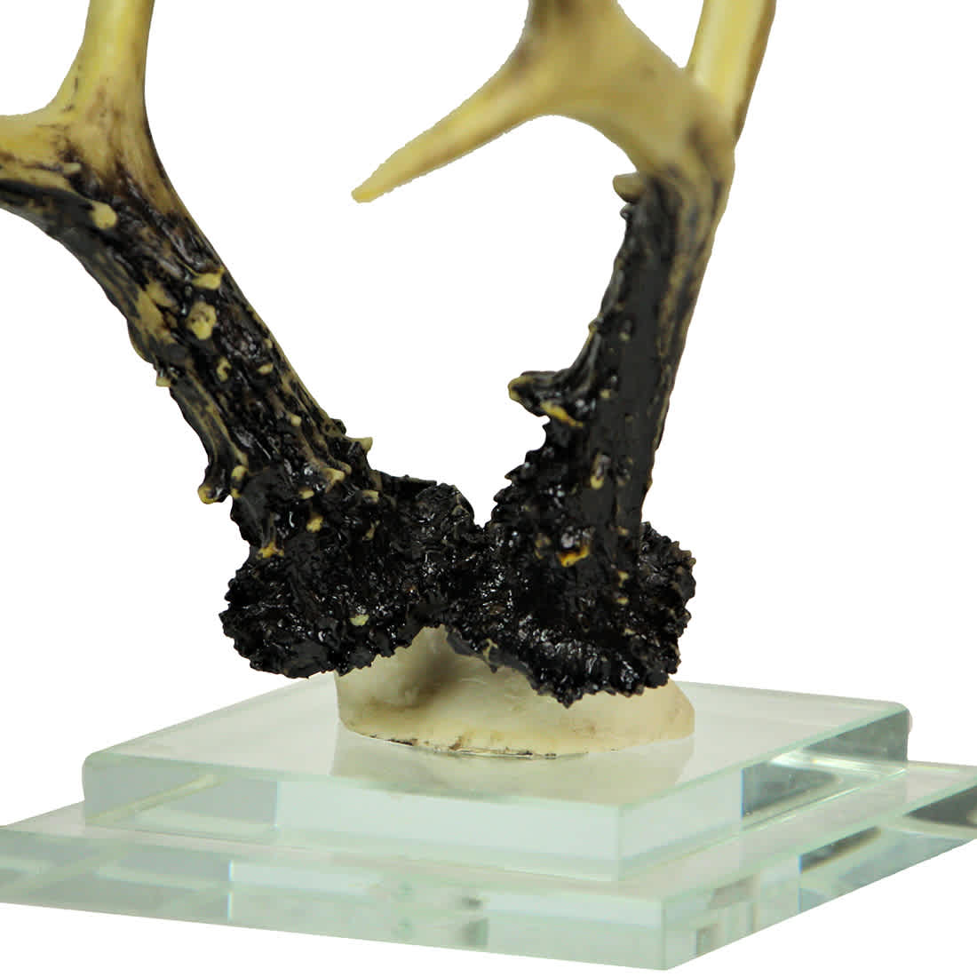 Contrast CON-80296 Wall-Accents - View #8