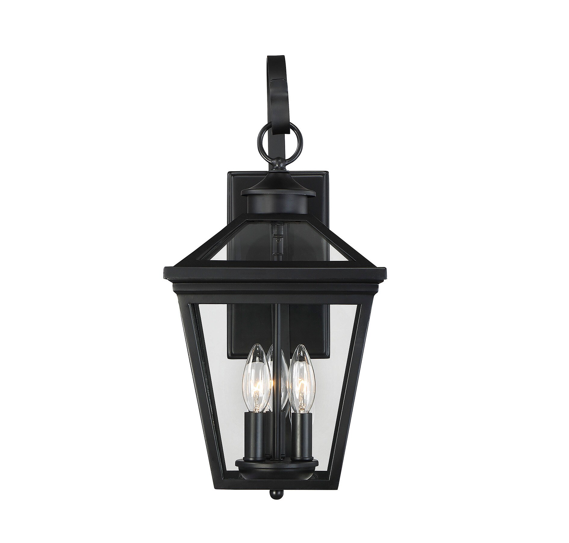 Ellijay Black Glass 3-Light Outdoor Wall Lantern