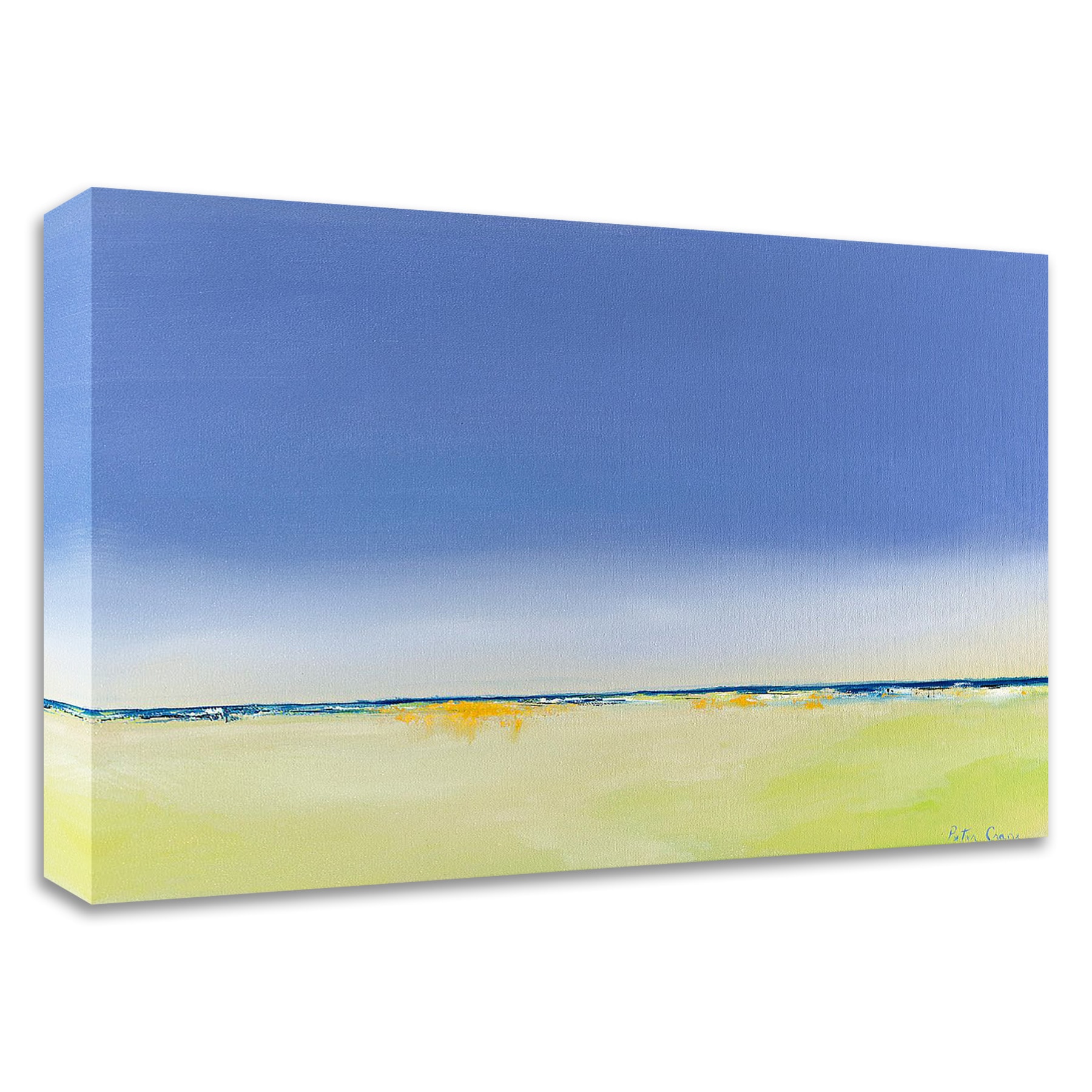 Tangletown Fine Art 8C1123DC-3024 Quiet and Alone Peter Crane 24-in H x 30-in W Abstract Print on Canvas