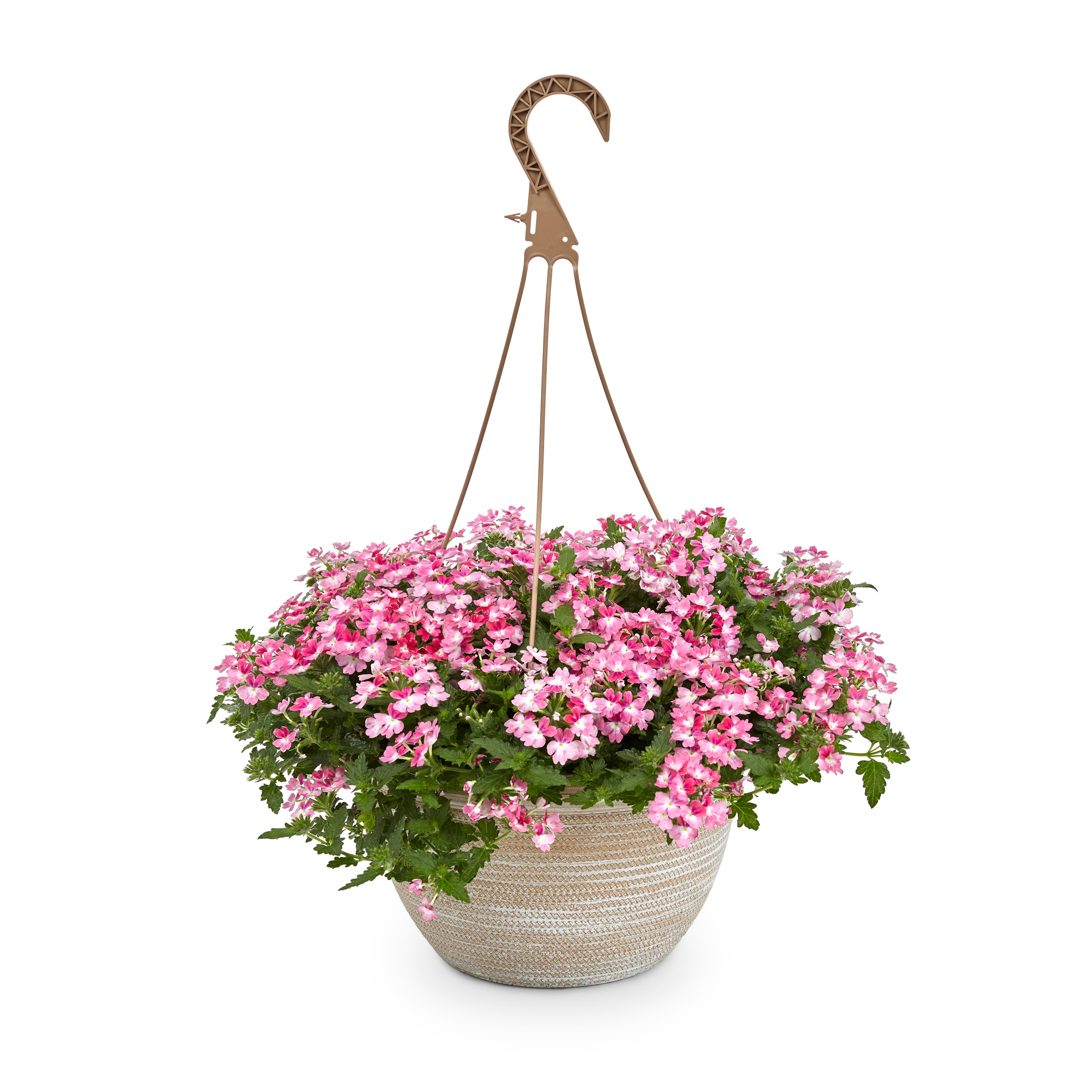 Lowe's 157456 annuals - View #2