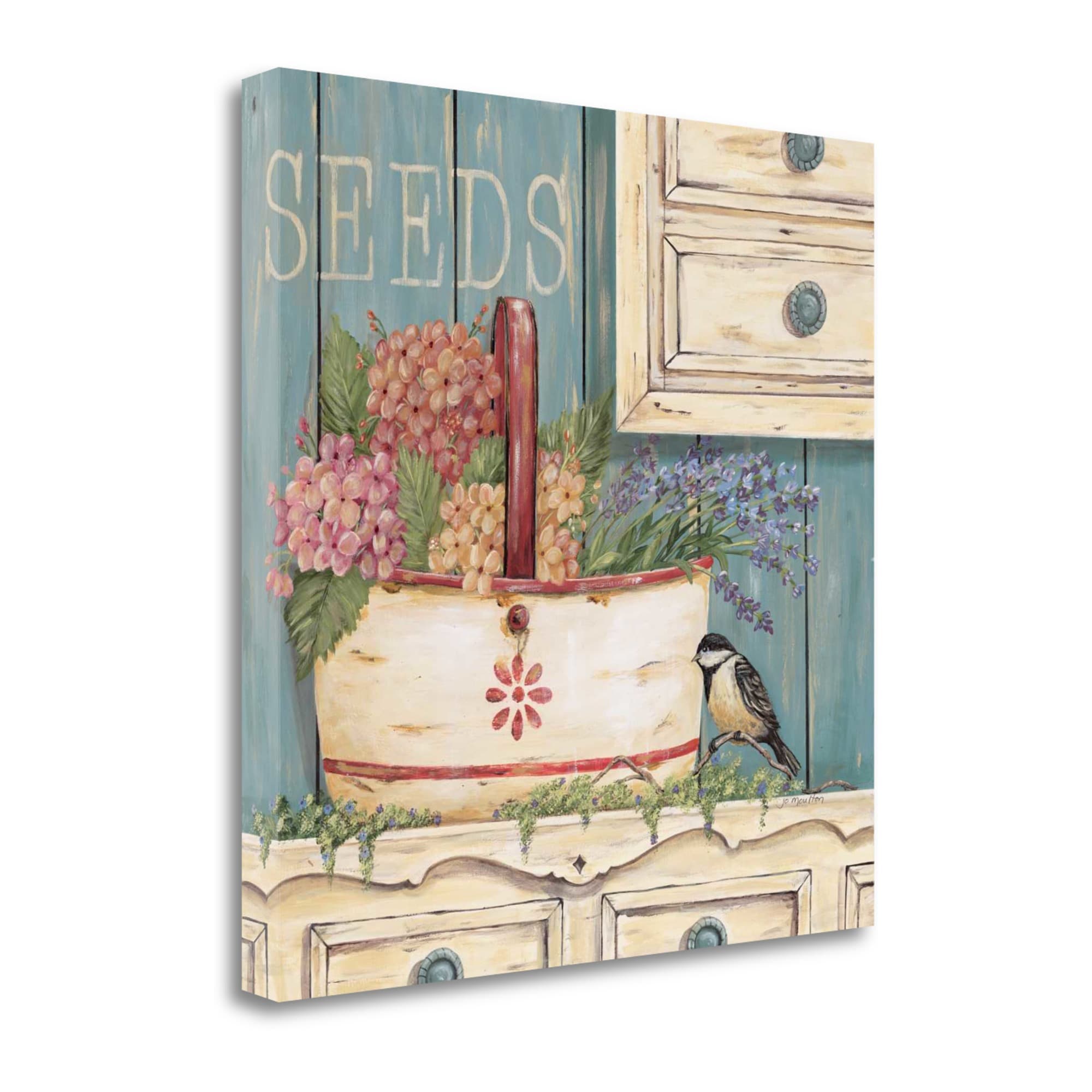 Tangletown Fine Art SBJM371-3030C Seeds Jo Moulton 30-in H x 30-in W Floral Print on Canvas