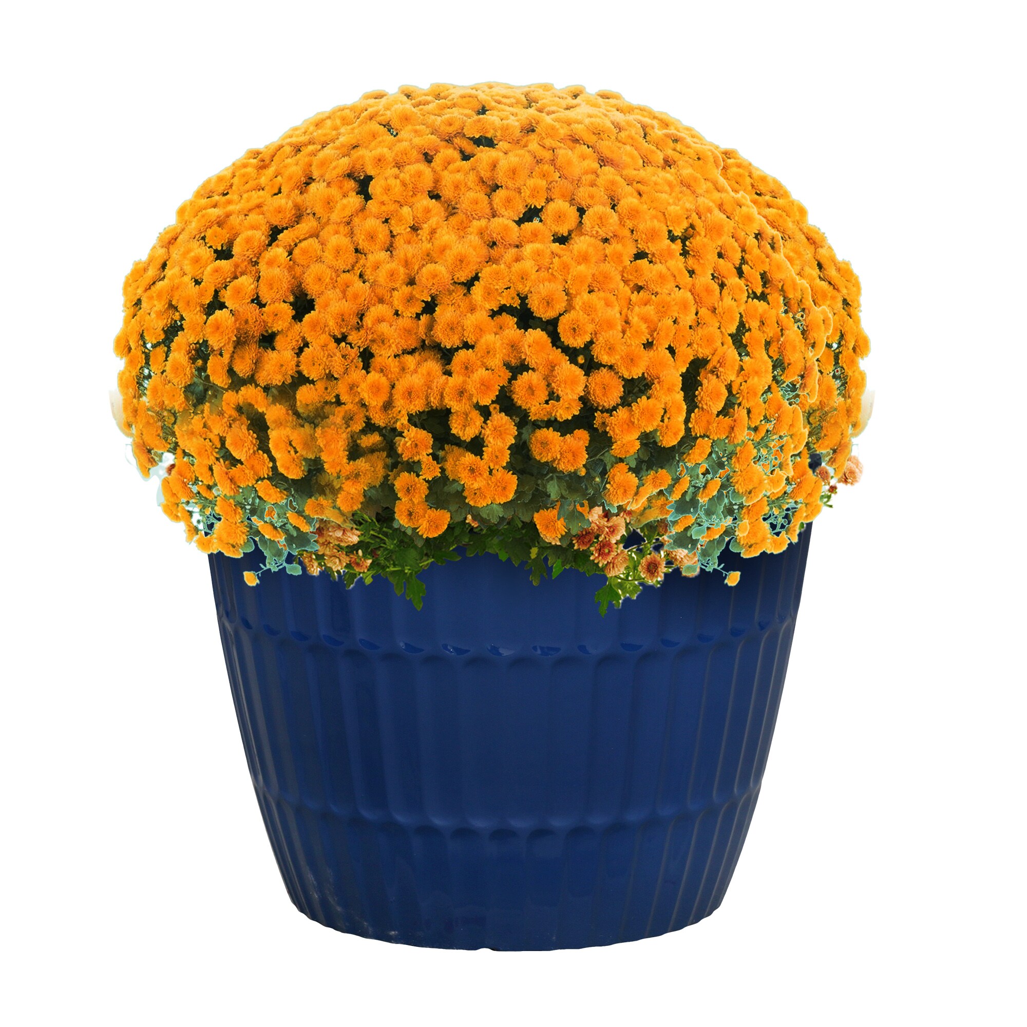 Style Selections PLG1712PBG Planter-Window-Box - View #3