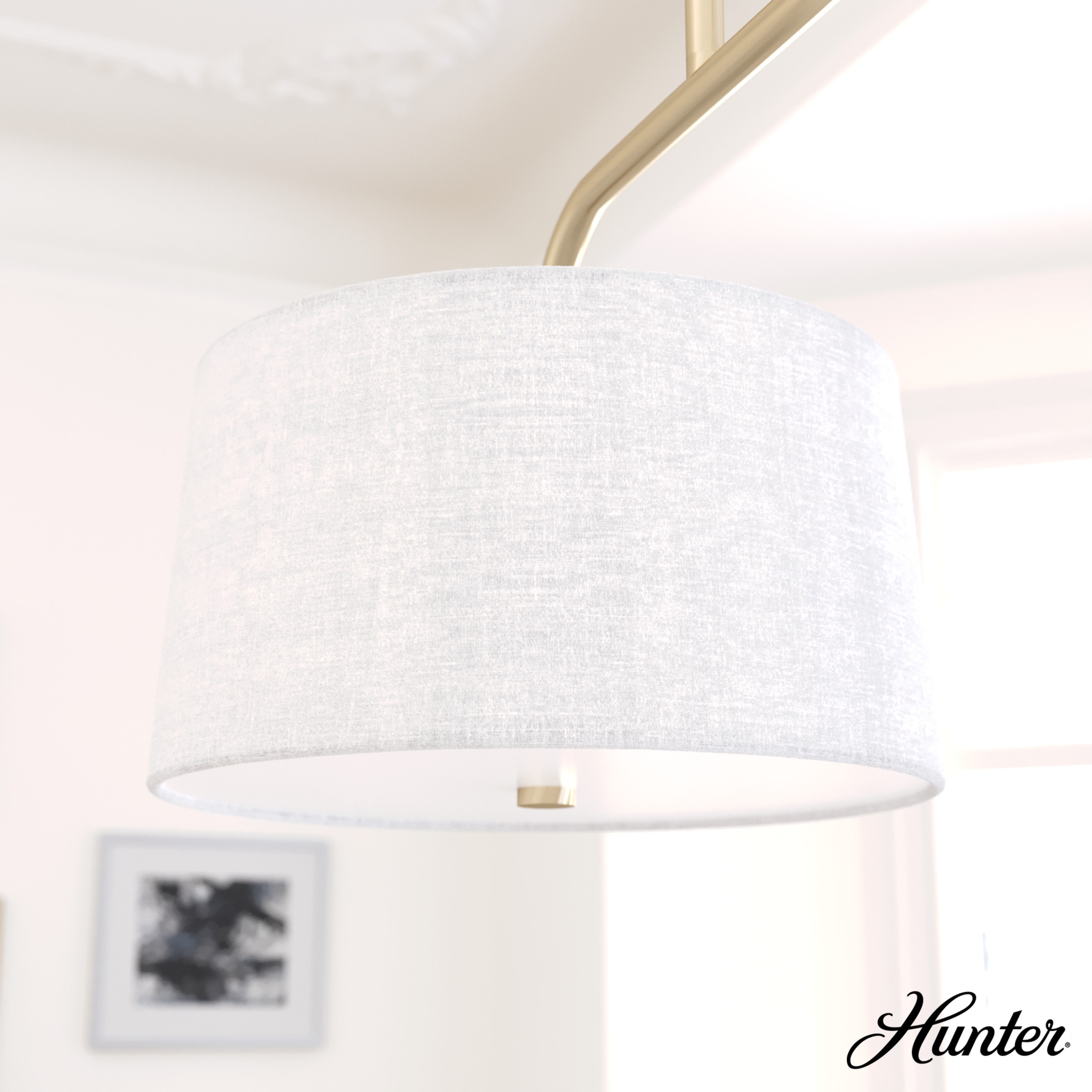 Hunter 19895 Pendant-Lights - View #3