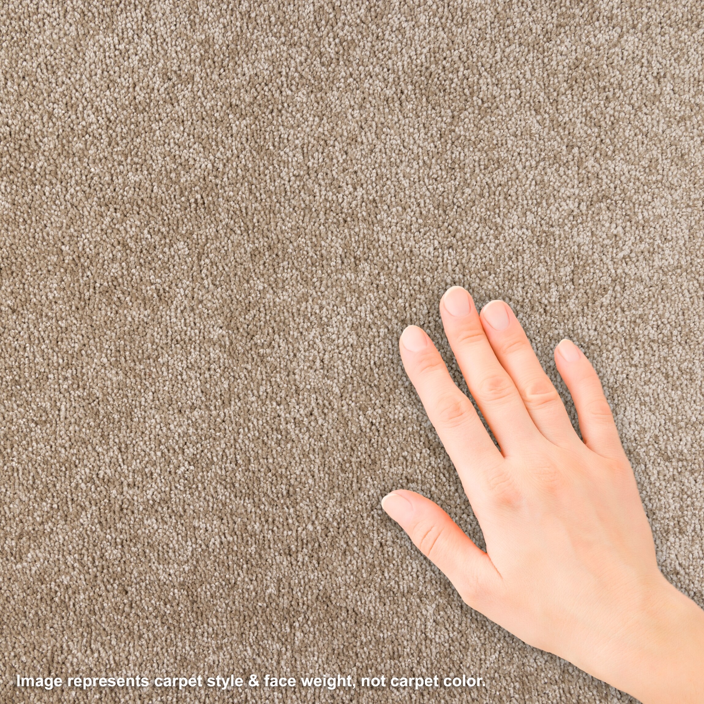 STAINMASTER L5012-1205-0808 Carpet-Samples - View #4