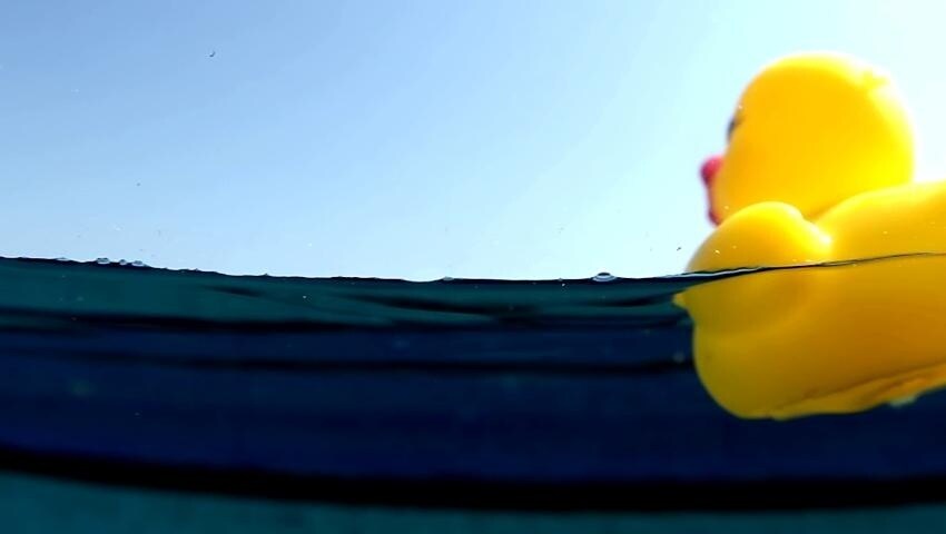 A thumbnail for the video