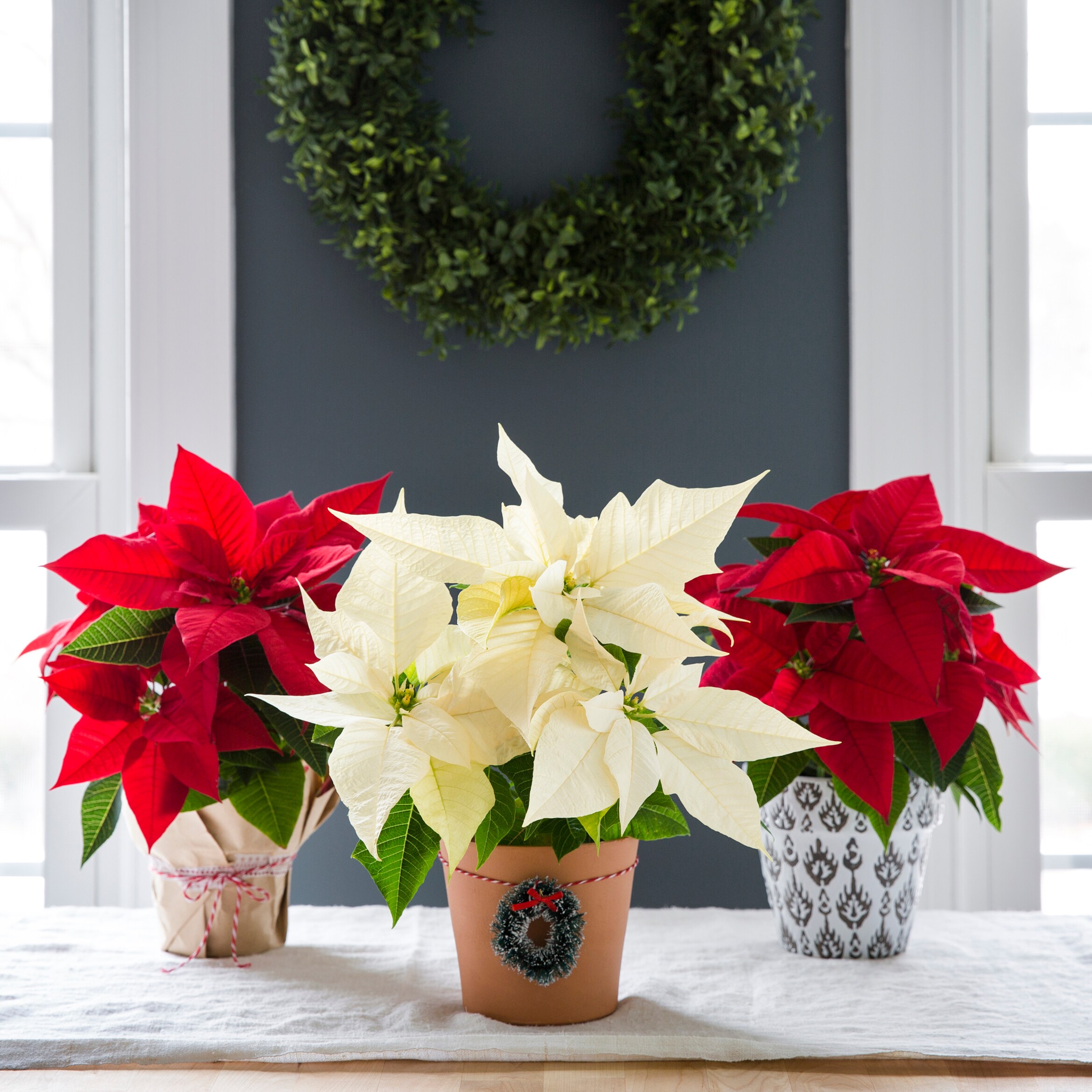  028289233377 Fresh-Cut-Christmas-Decorations - View #3