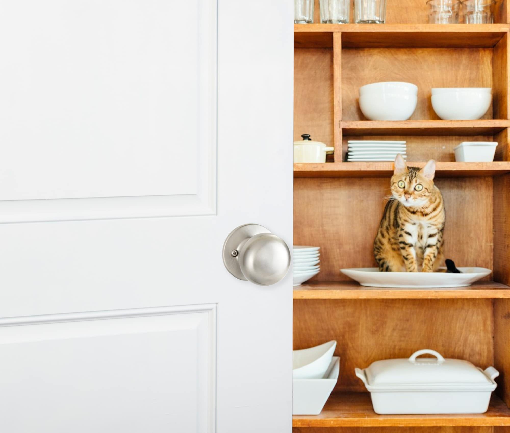 Delaney Hardware KS1011 Door-Knobs - View #7