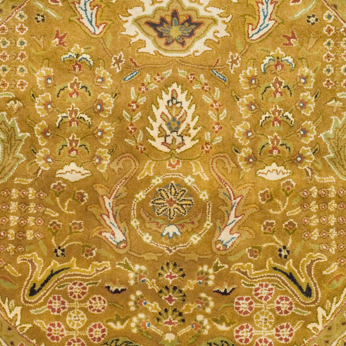 Safavieh CL764A-6R rugs - View #4