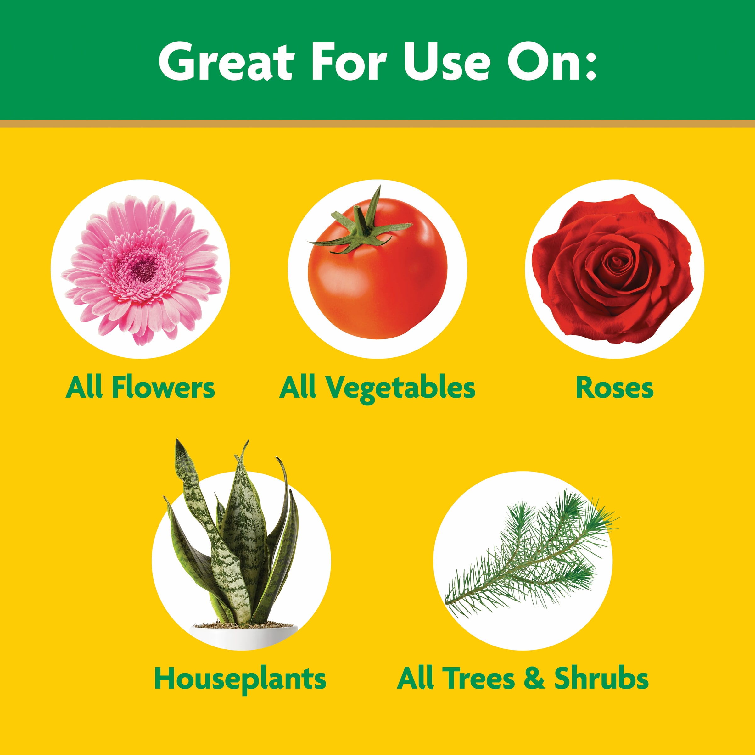 Miracle-Gro 1001193 Plant-Food - View #5