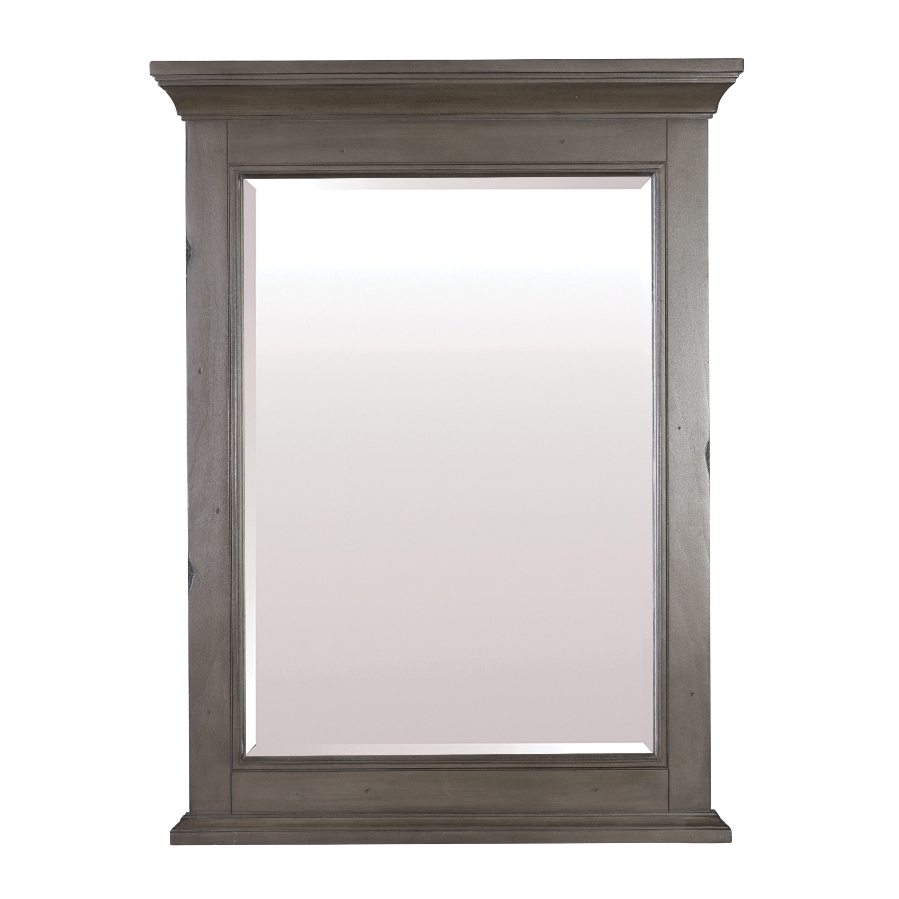CRAFT + MAIN BAGM2432 Brantley 24-in x 32-in Framed Rectangle Bathroom Vanity Mirror ( Distressed Grey )