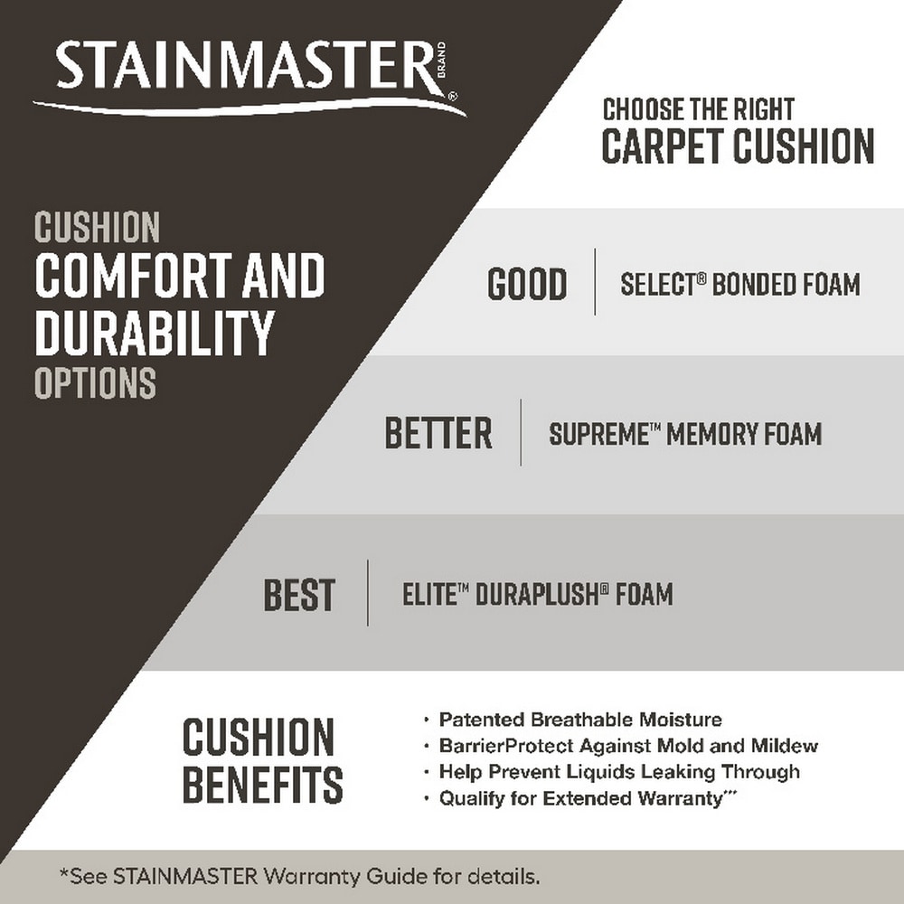 STAINMASTER L3017-362-1200-AB Carpet-Panel - View #5