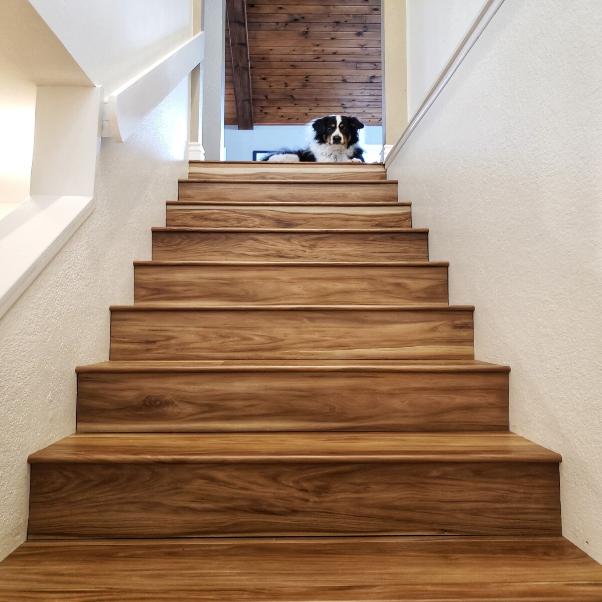 CALI 7904510200 Vinyl-Plank - View #9