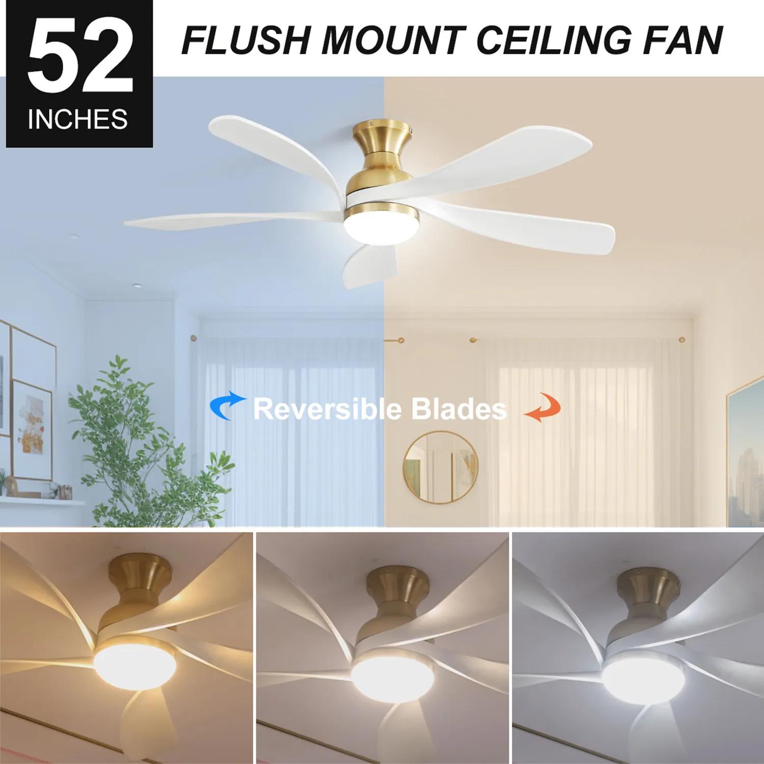 Bayfeve BFYH-39019-CF Ceiling-Fans - View #8