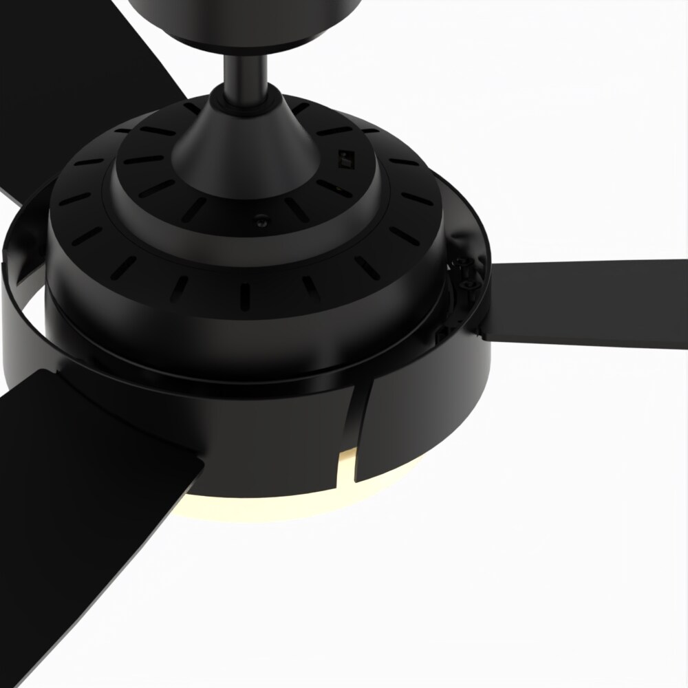 Fanimation Studio Collection LP8081BLBL Ceiling-Fans - View #5