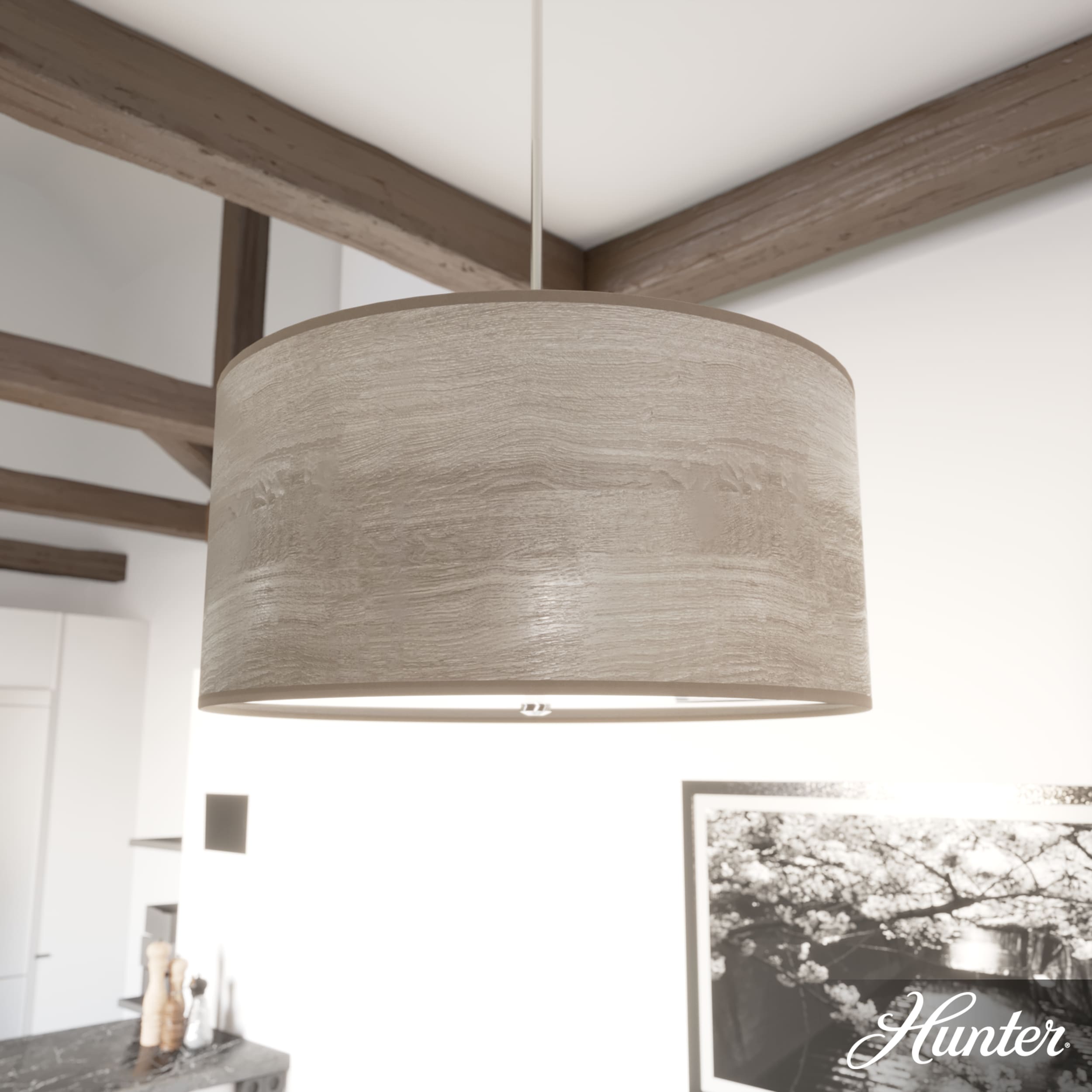 Hunter 19382 Pendant-Lights - View #3