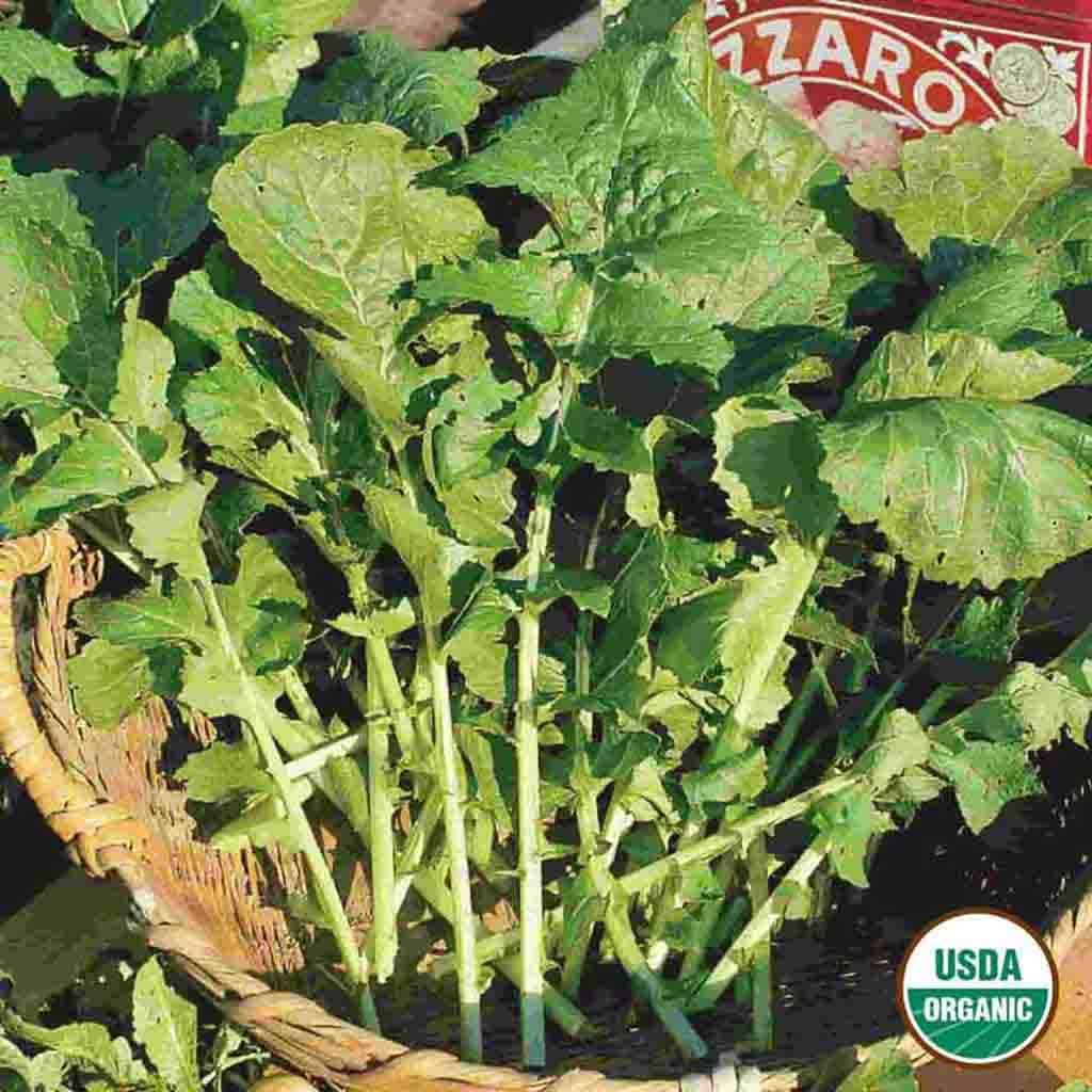 Ferry-Morse LC25.1390 Vegetable-Herb-Seeds - View #3
