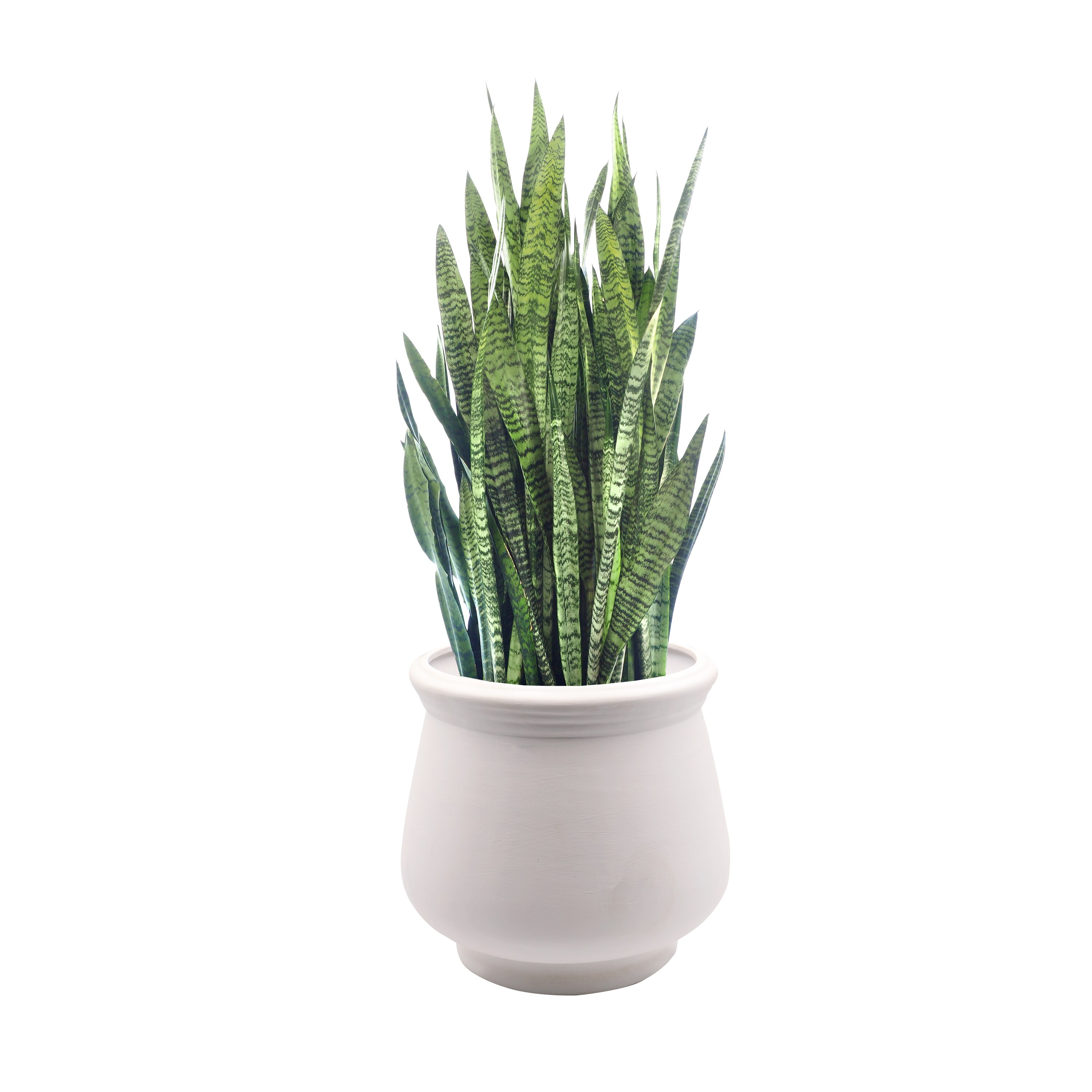 Evergreen 2CG846 Planter-Window-Box - View #3