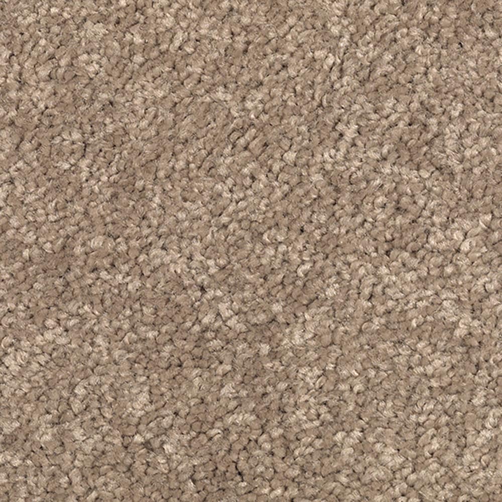 STAINMASTER LB033-L002-0808 (Sample) Bold Selection I Bitter brown Brown 48-oz sq yard Polyester Textured Indoor Carpet