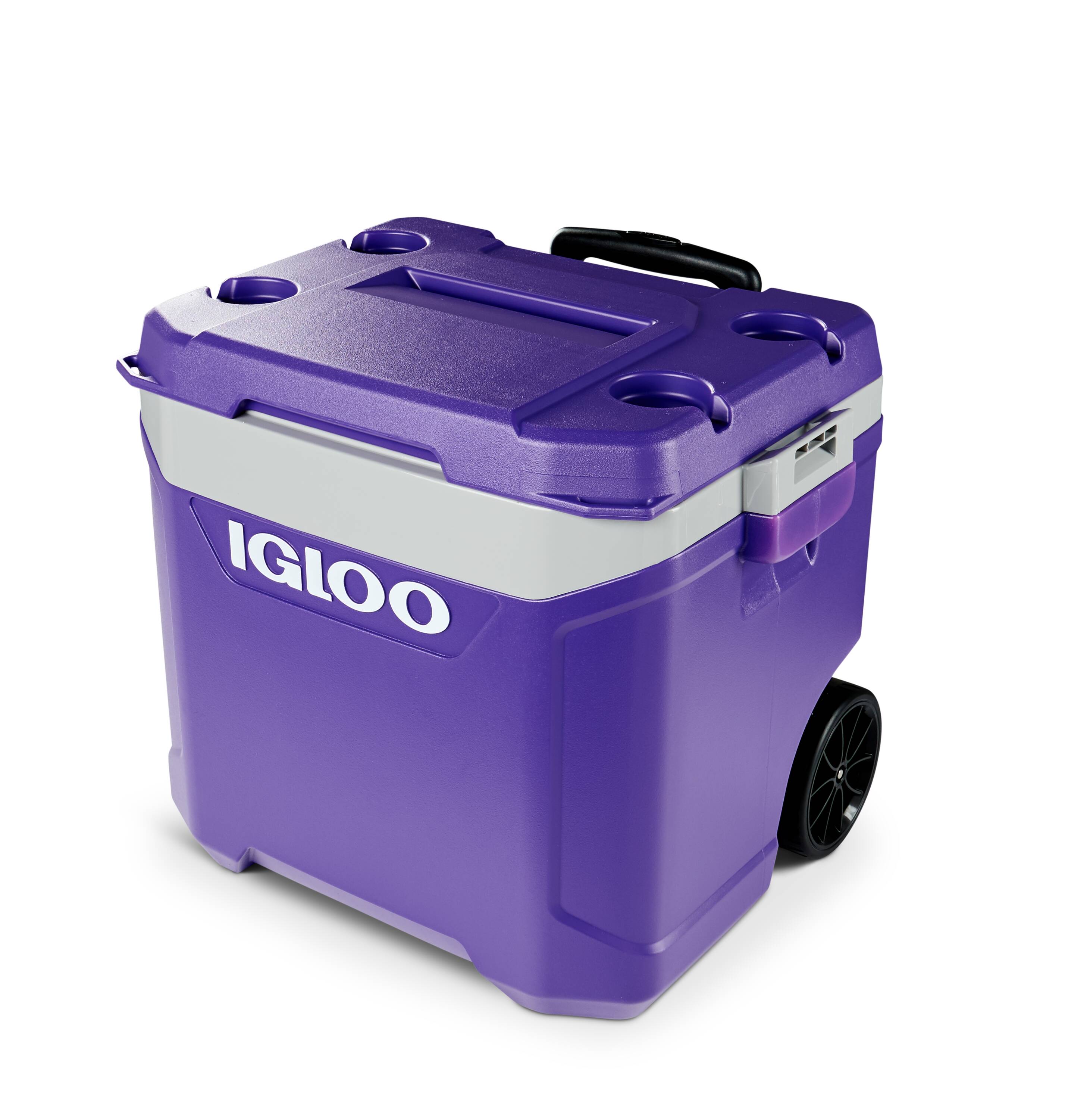 Igloo Purple.Wht.Meteorite.Blk 60-Quart Wheeled Insulated Personal ...