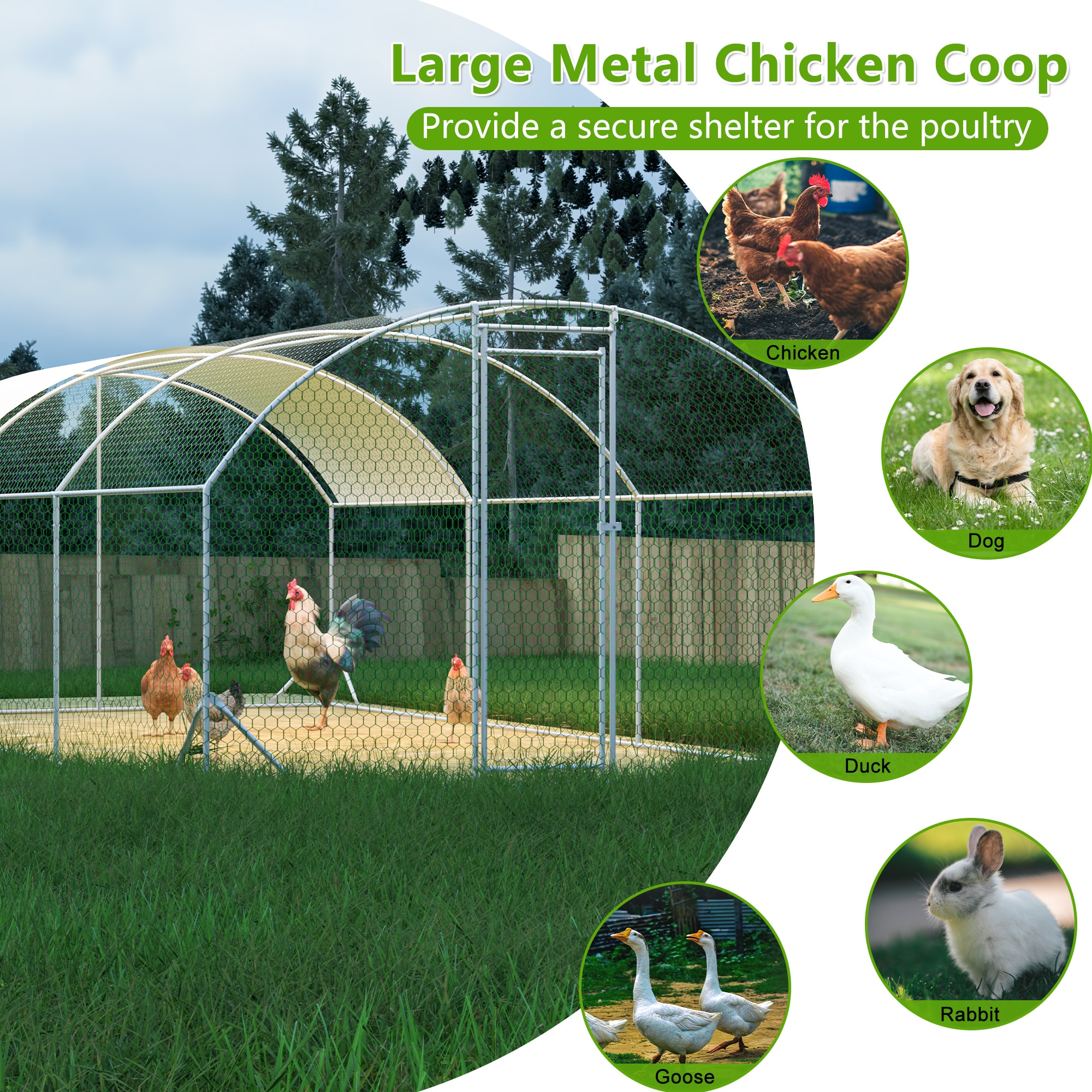 Clihome CL-STO-71905 Chicken-Coops-Rabbit-Hutches - View #4