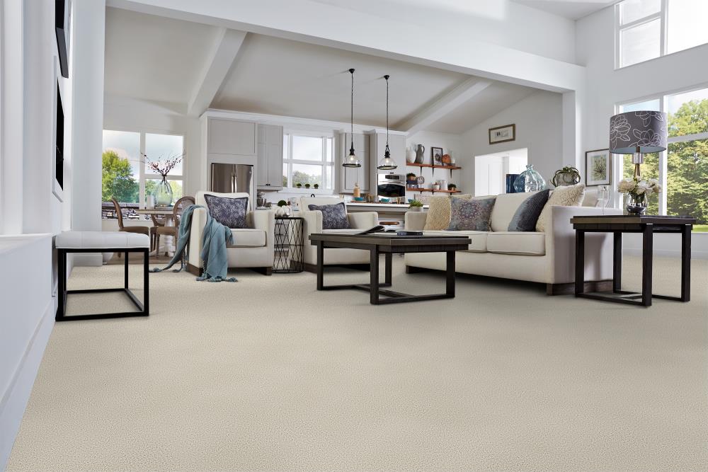 STAINMASTER DL047-408 Carpet-Panel - View #2