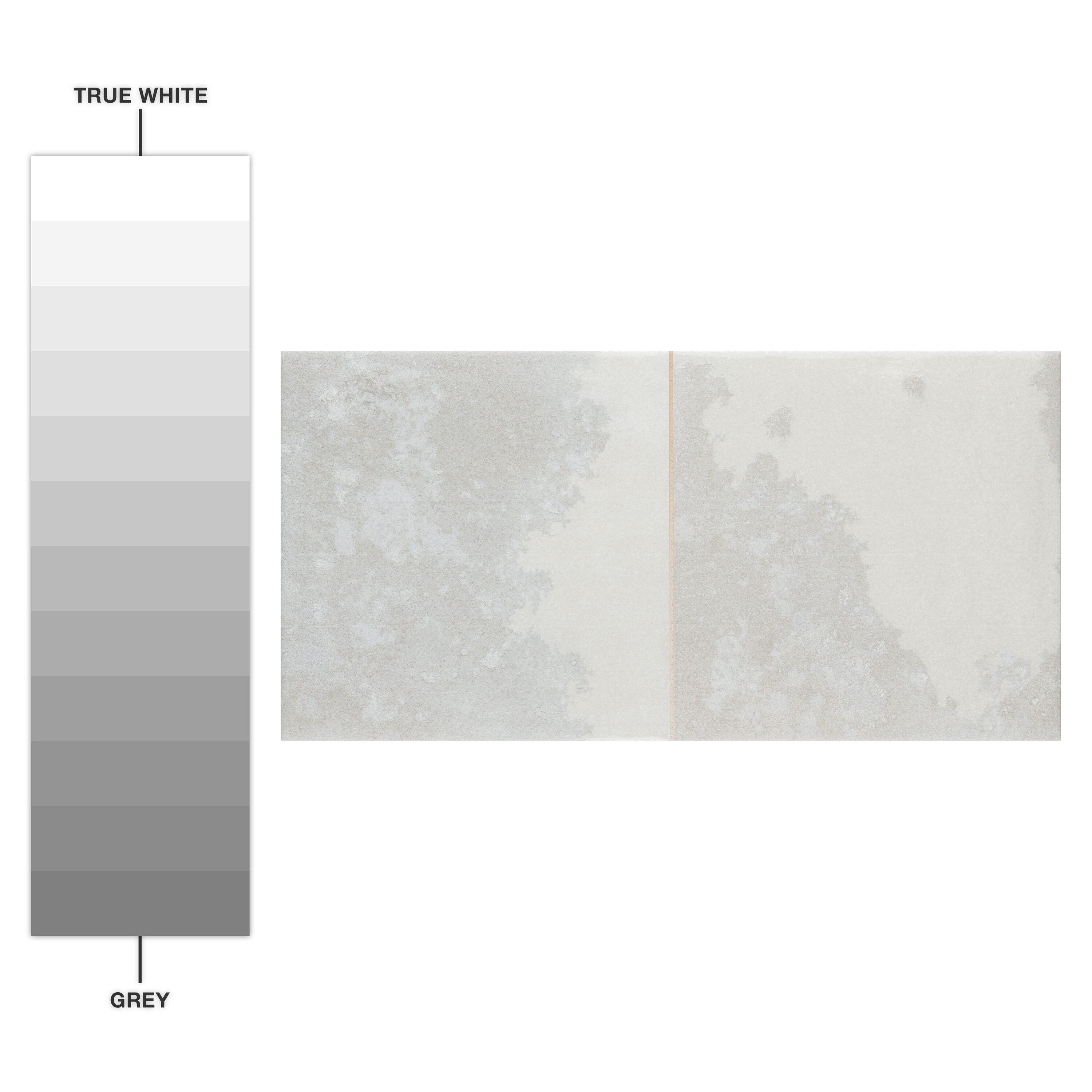 Affinity Tile S1WPE15TSSI Tile-Samples - View #8